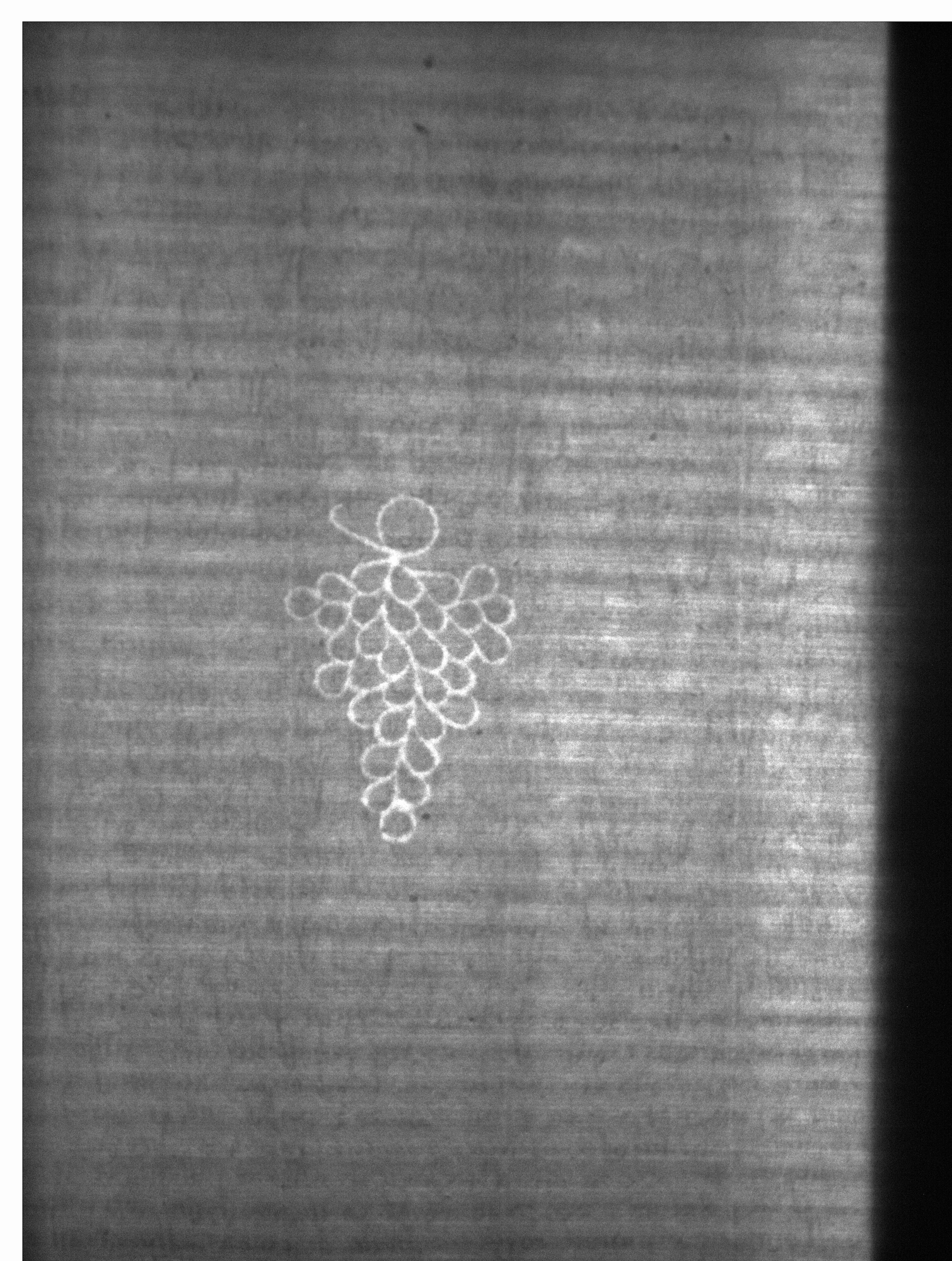 Watermark
