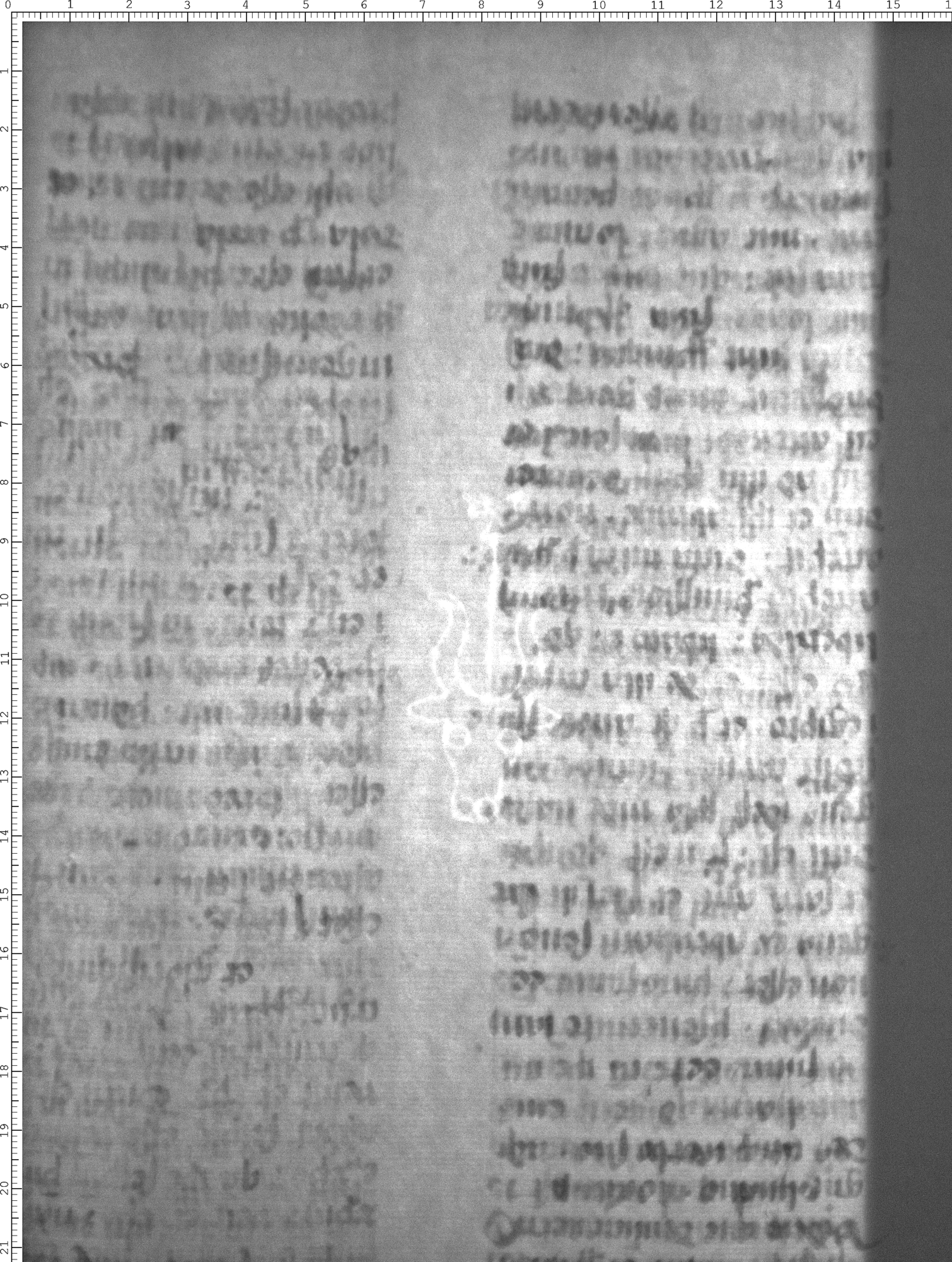 Watermark