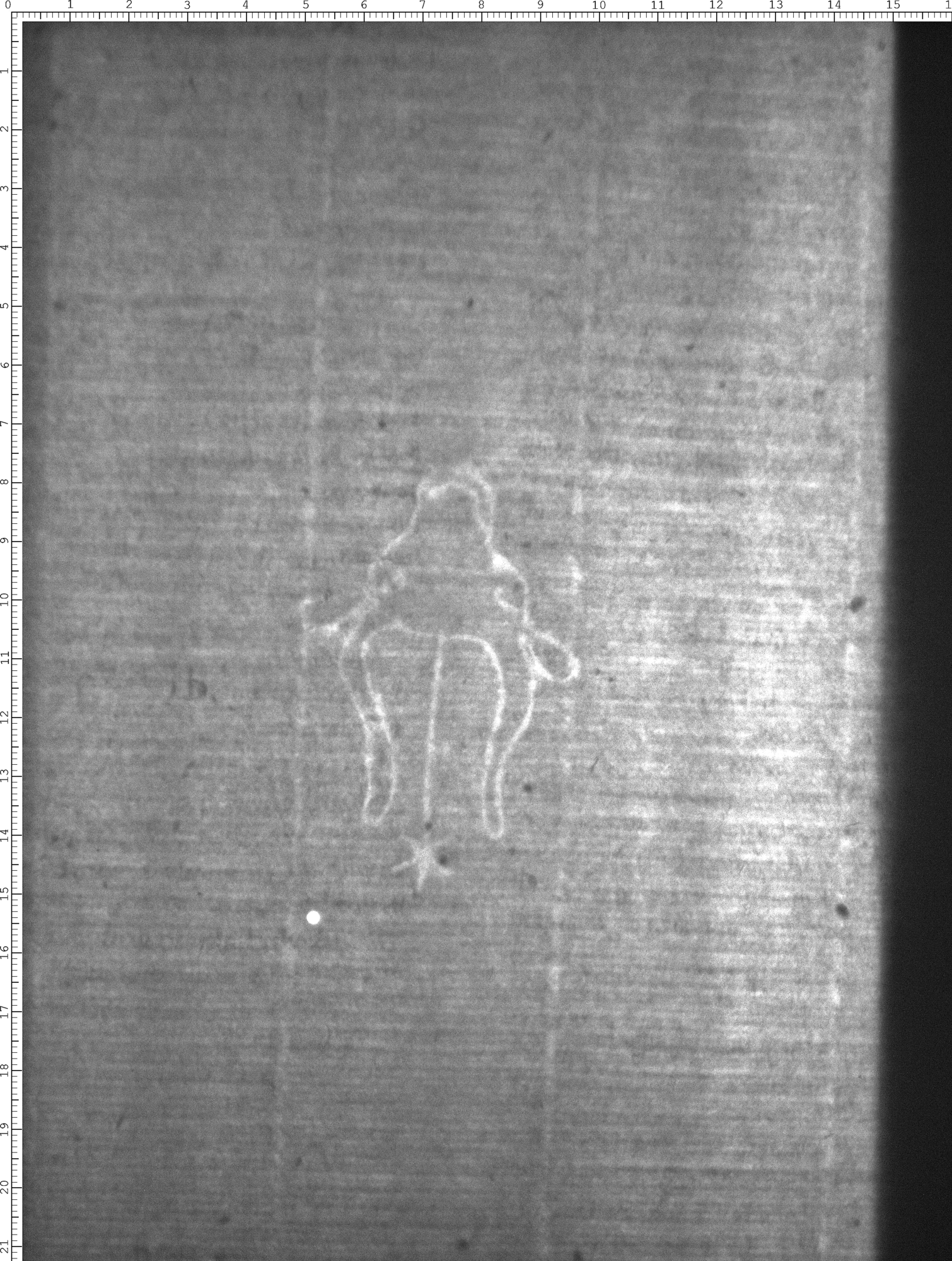 Watermark