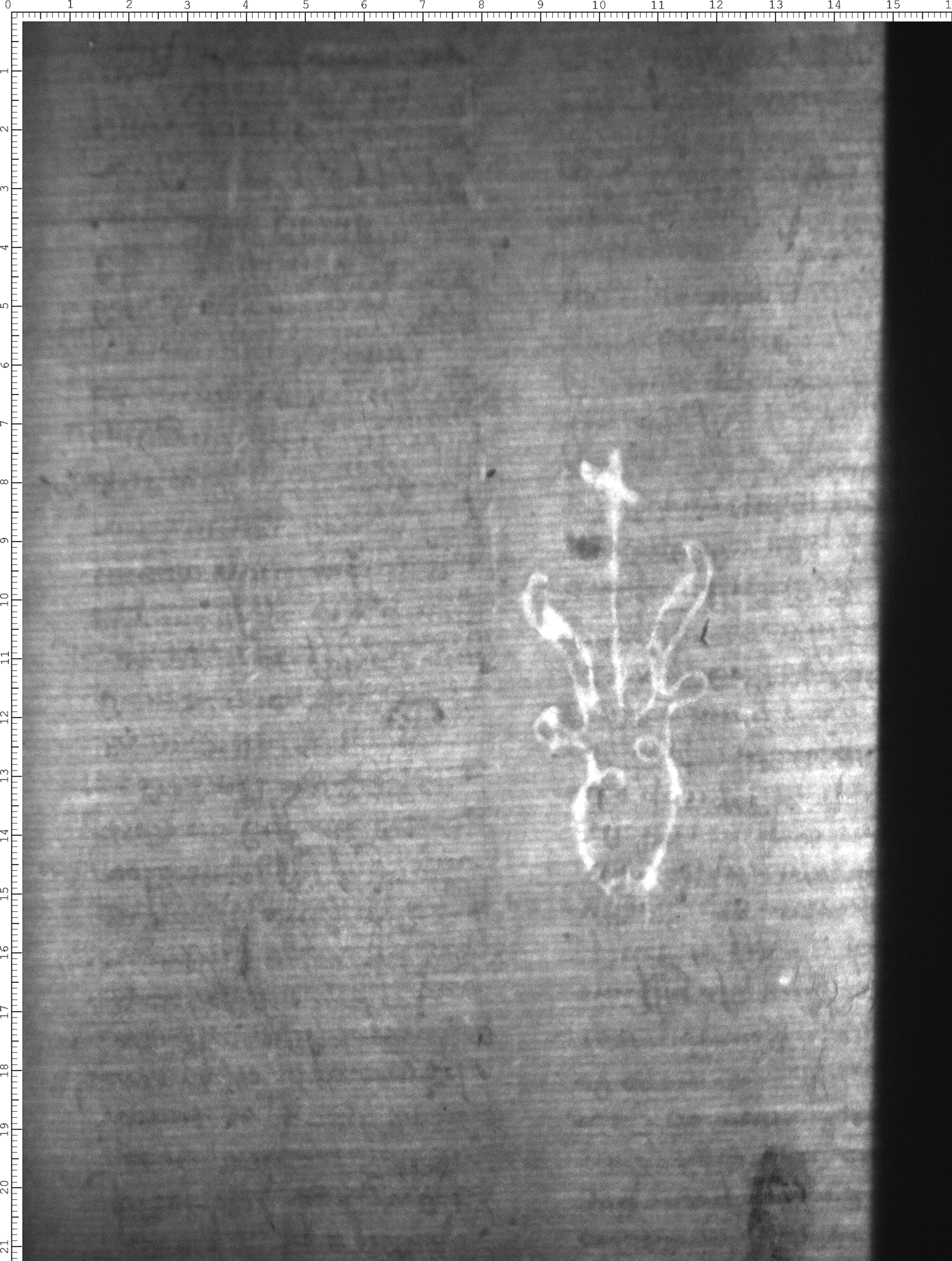 Watermark