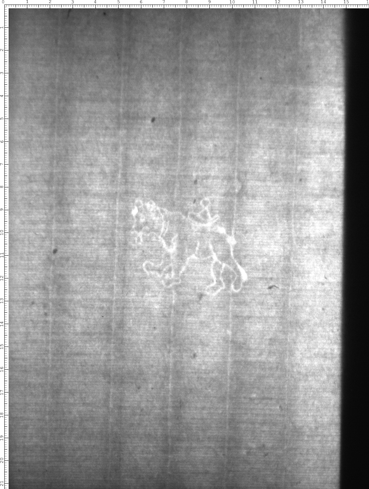 Watermark