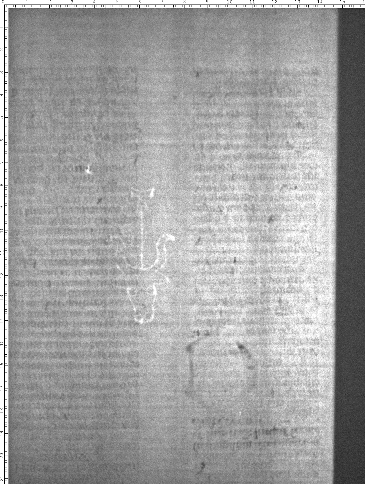 Watermark