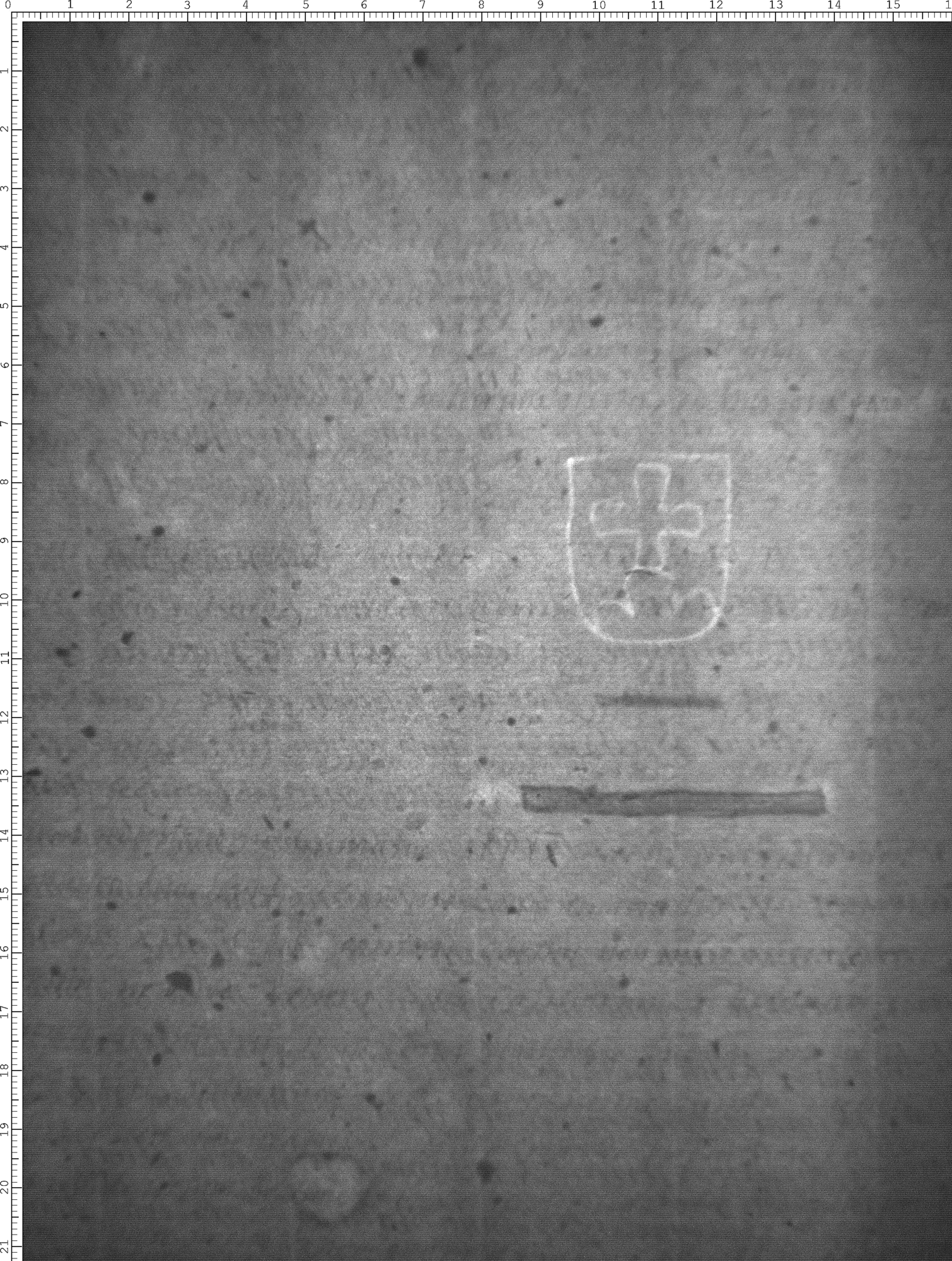 Watermark