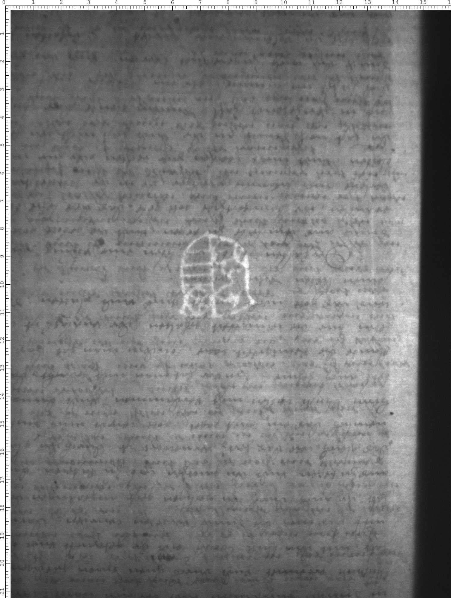 Watermark