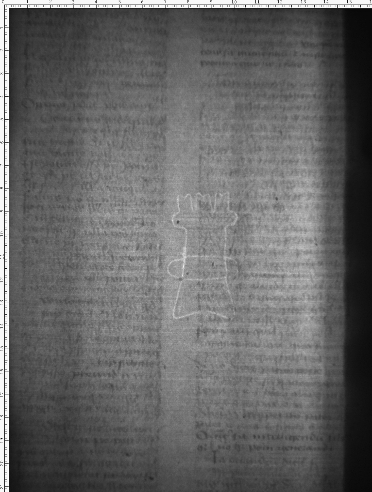 Watermark
