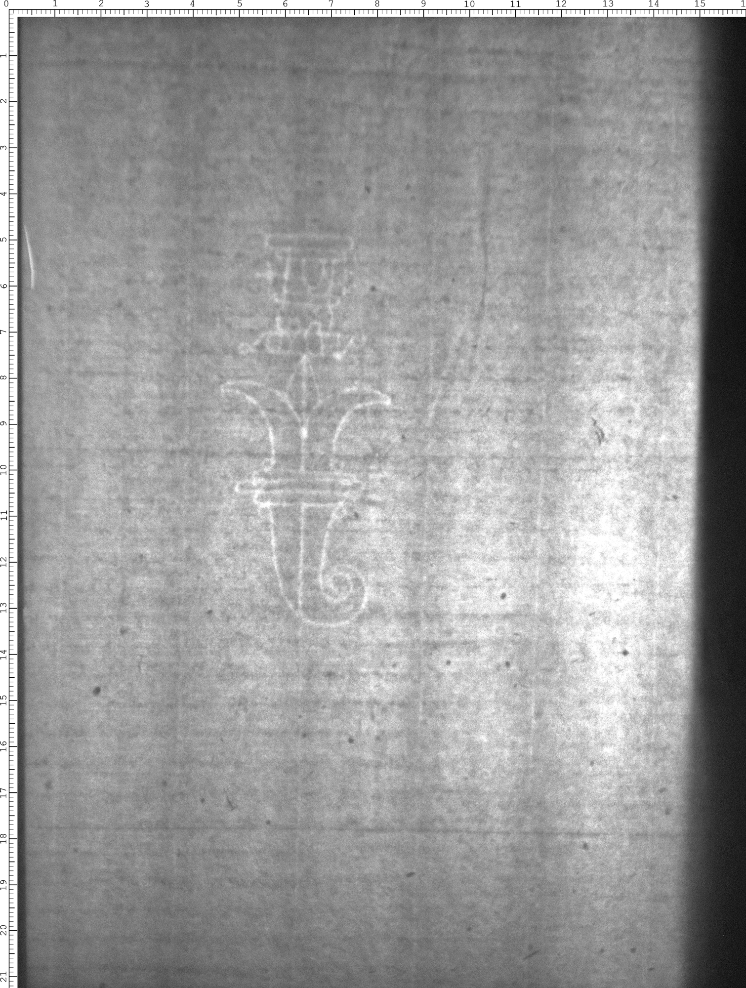 Watermark