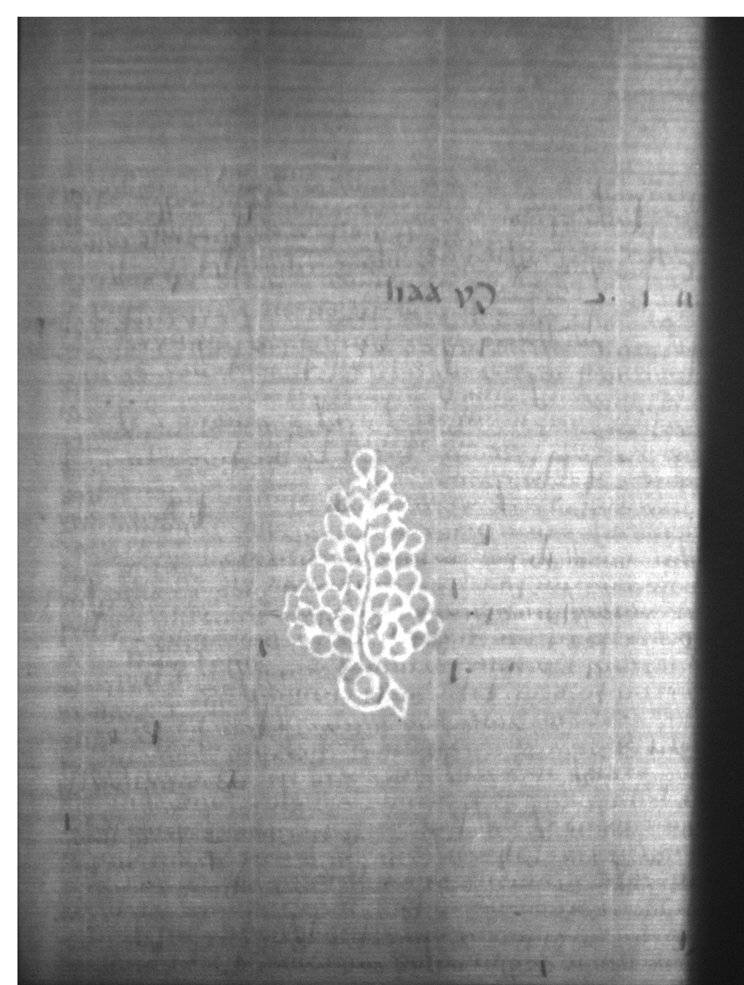 Watermark