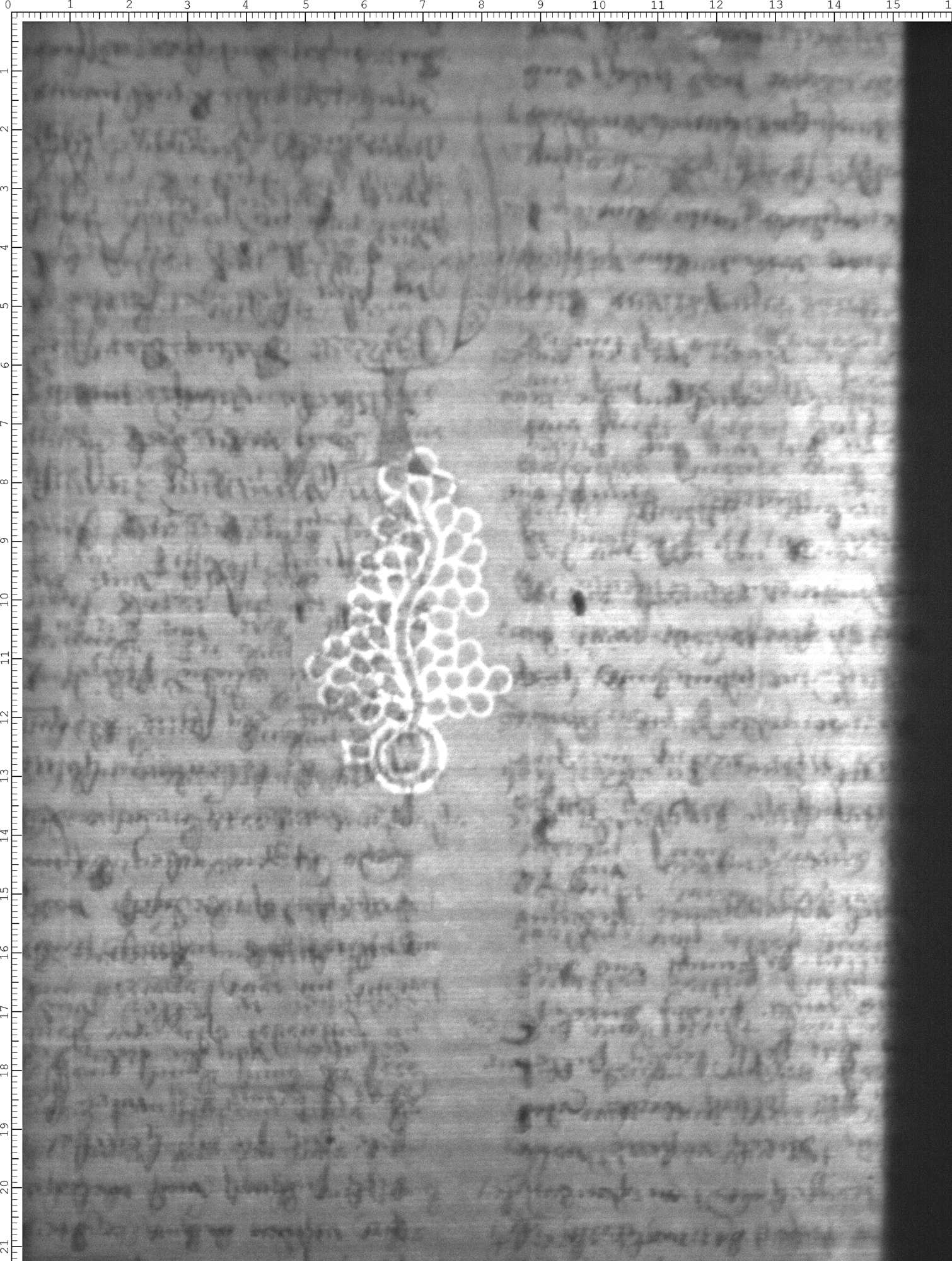Watermark