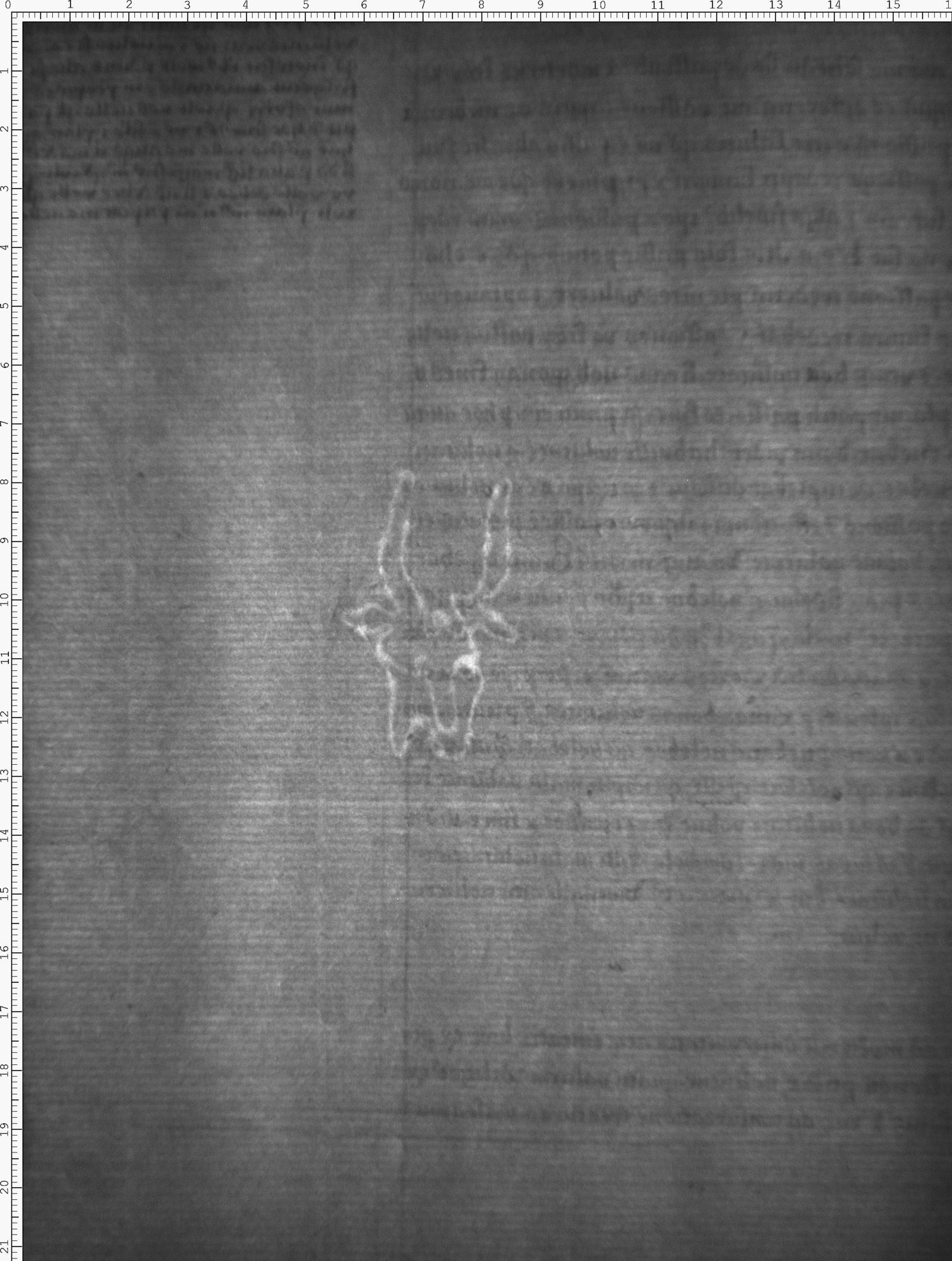 Watermark
