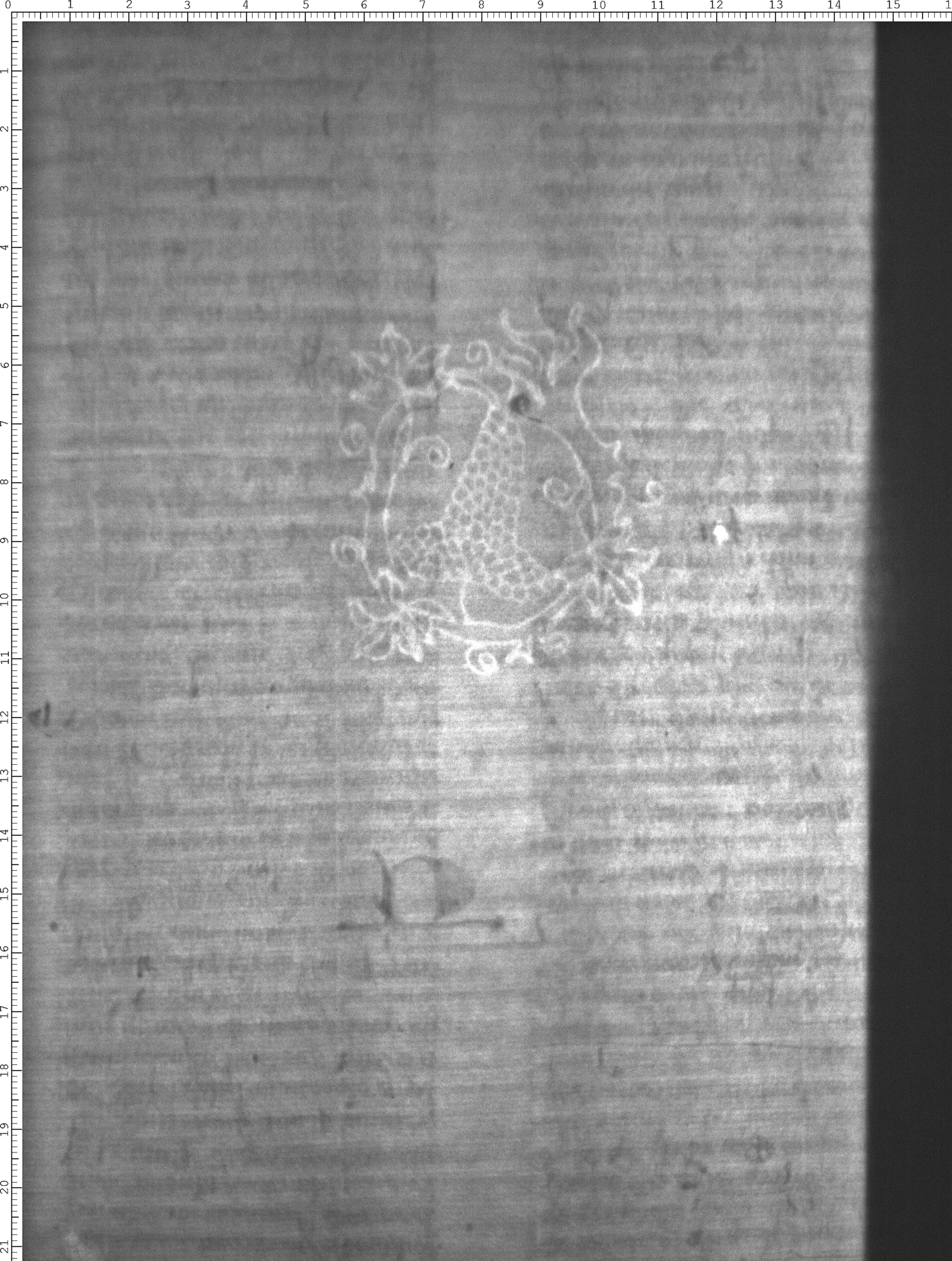 Watermark