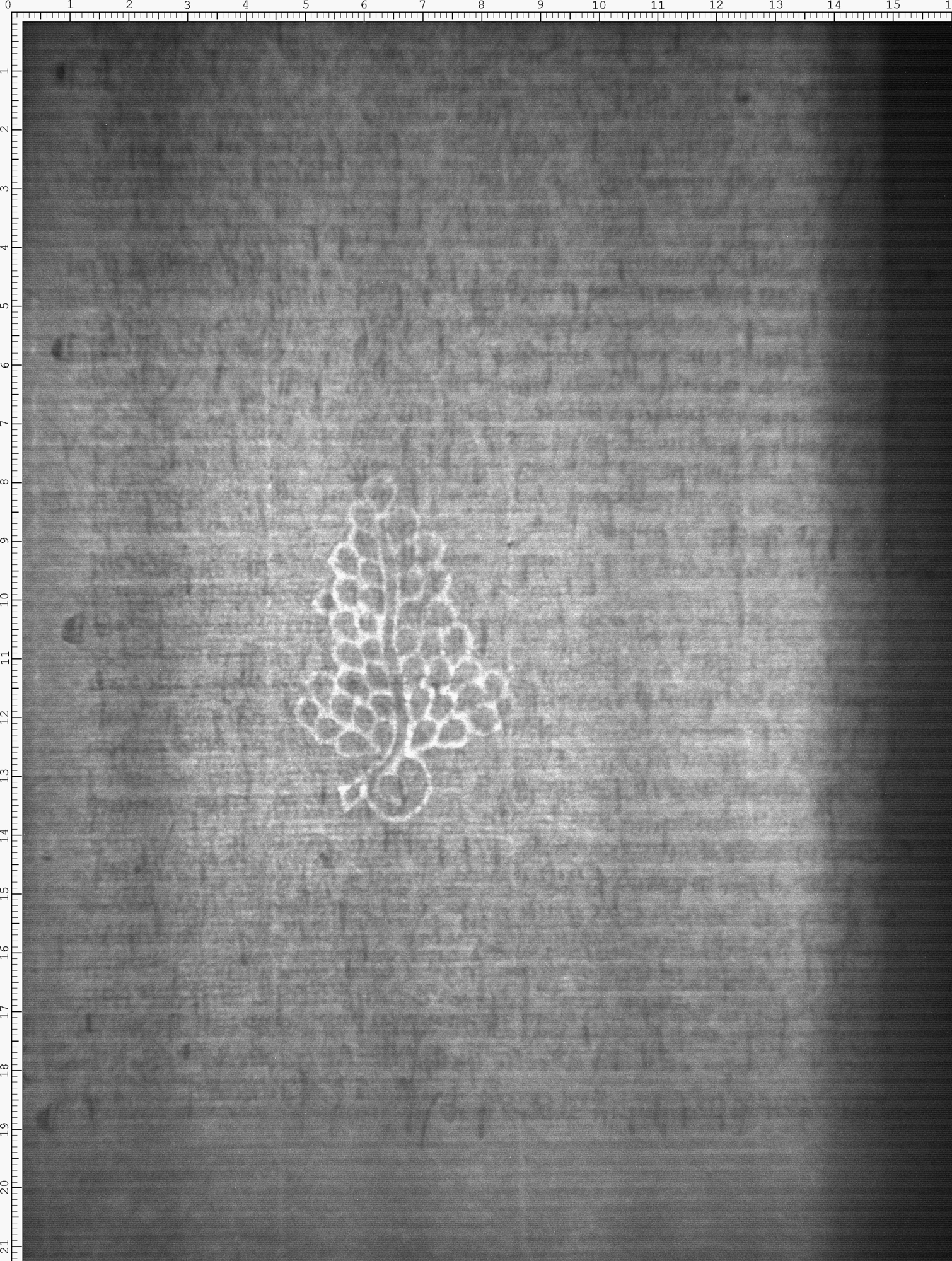 Watermark