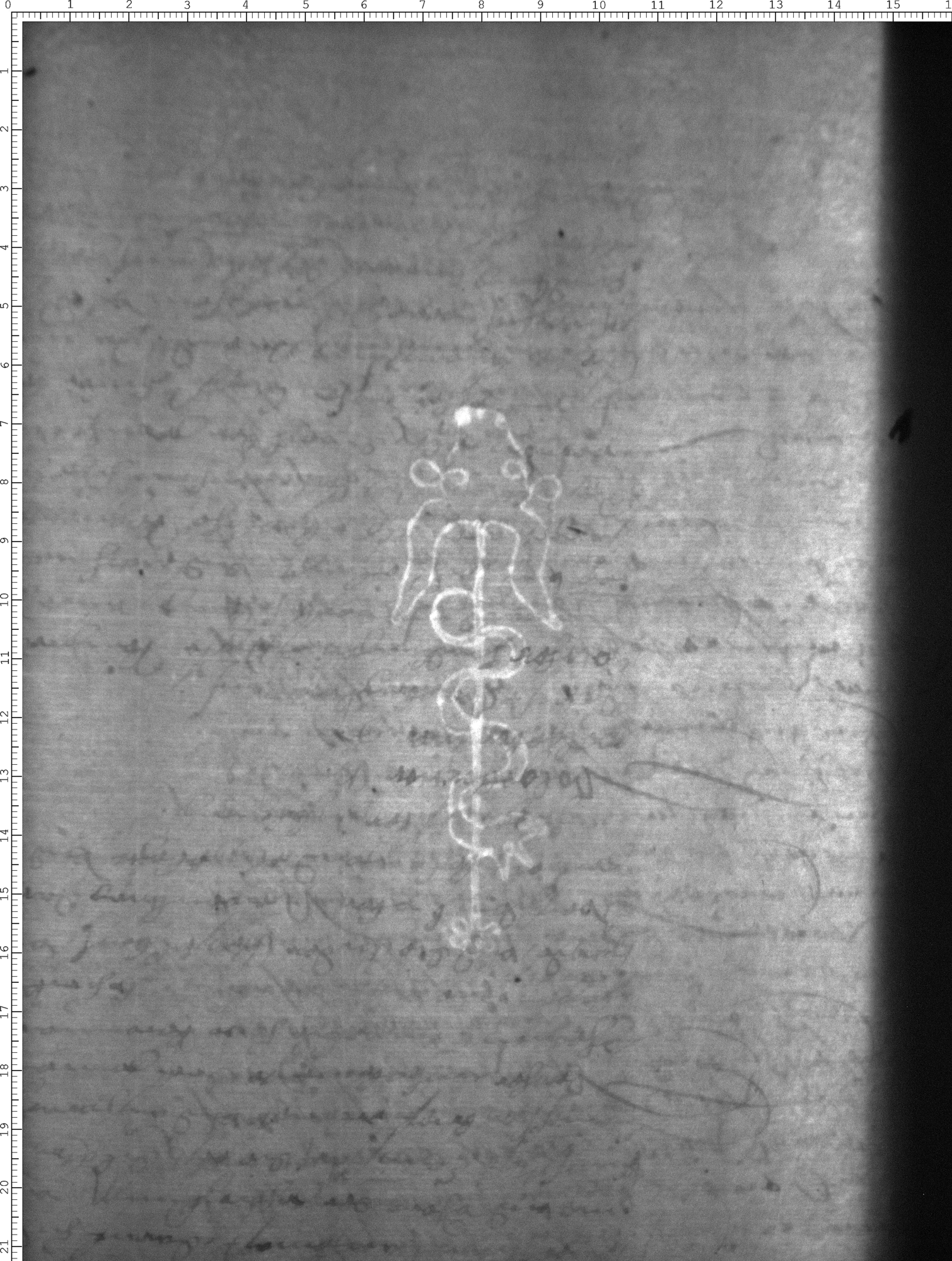 Watermark