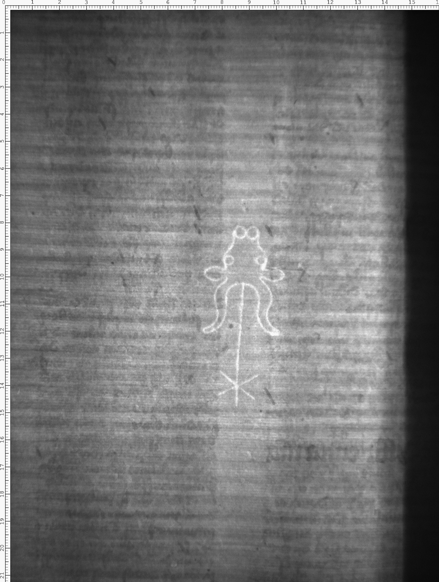 Watermark