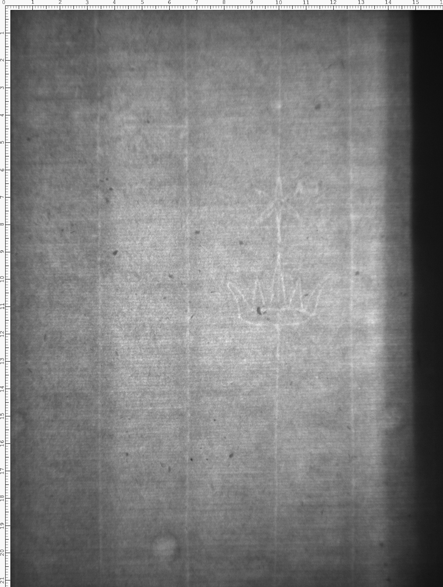 Watermark