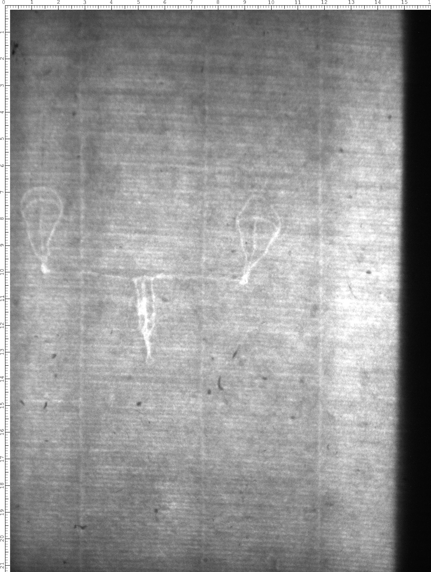 Watermark