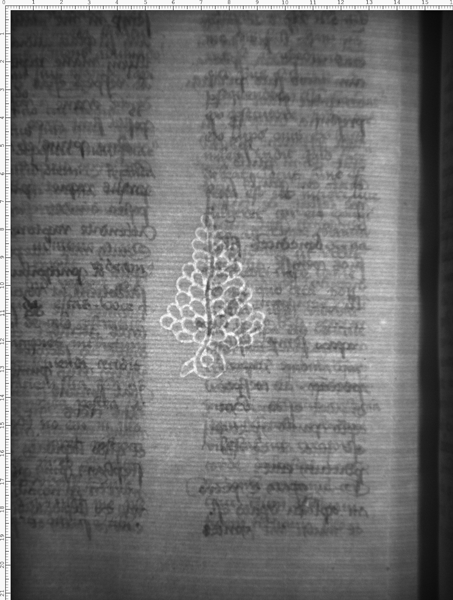Watermark