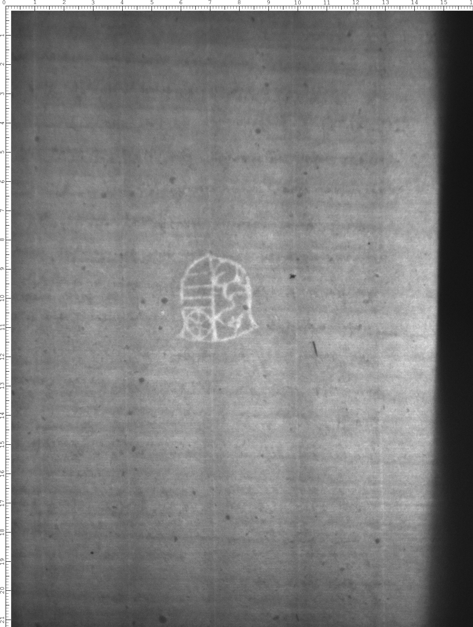 Watermark
