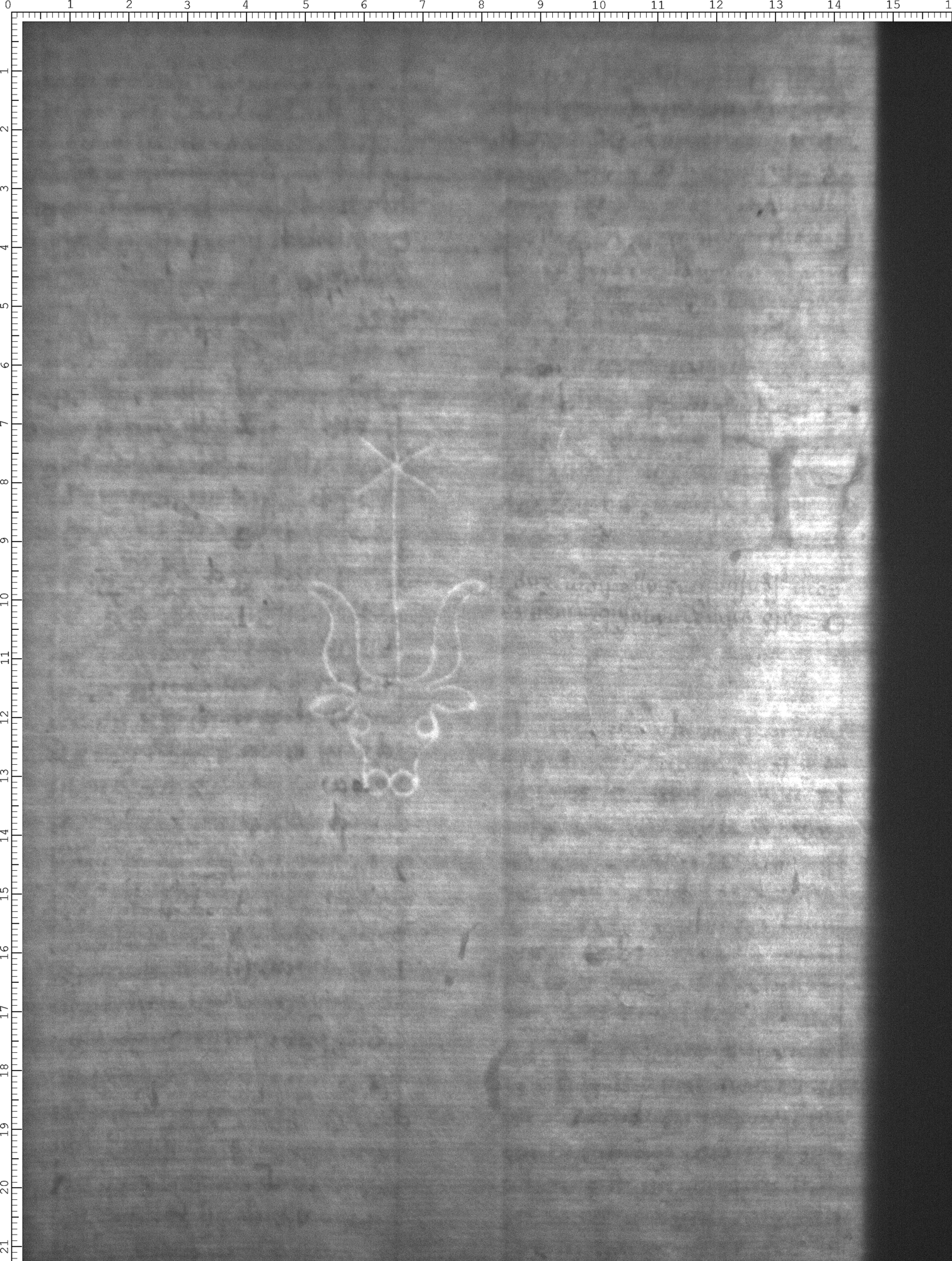 Watermark
