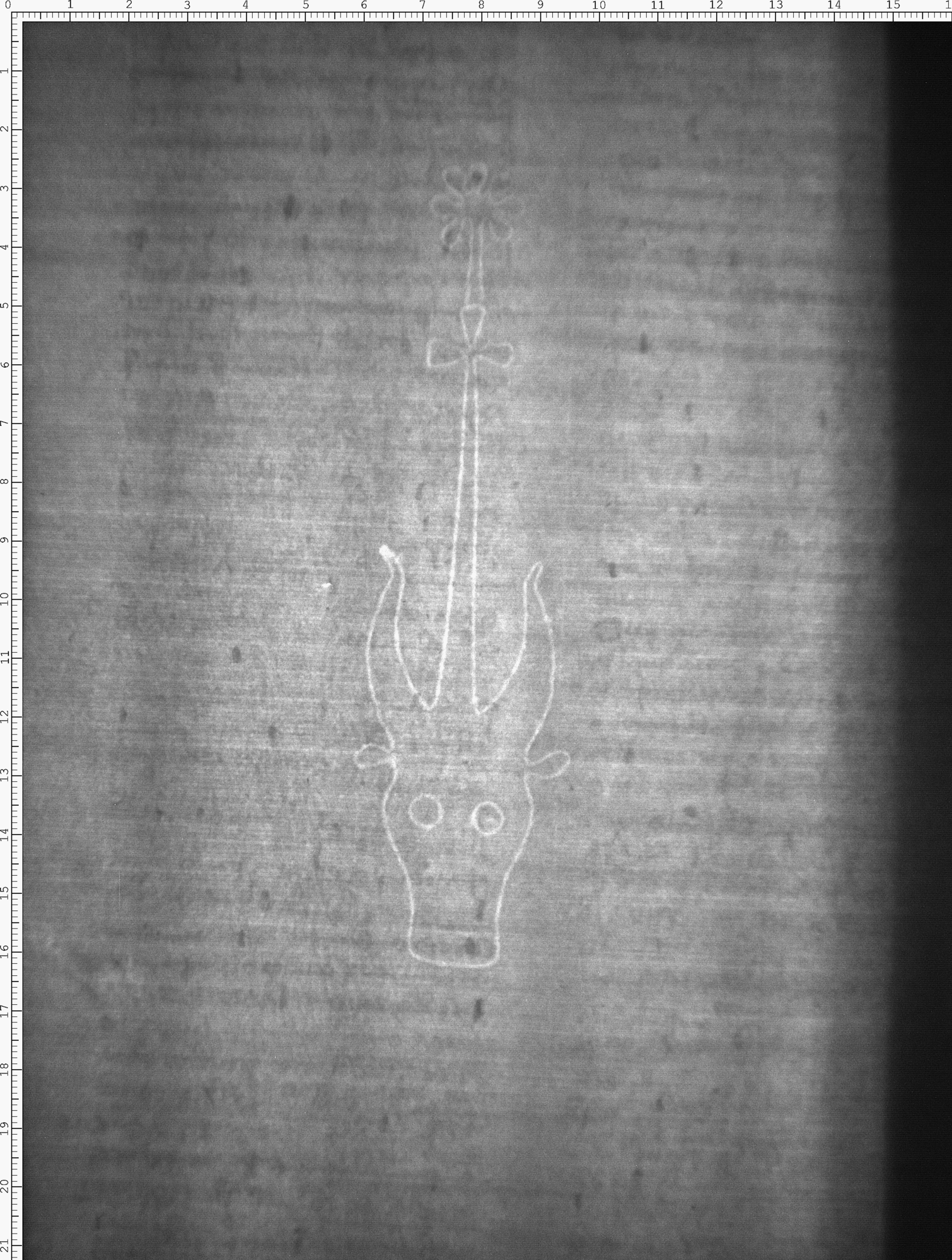 Watermark