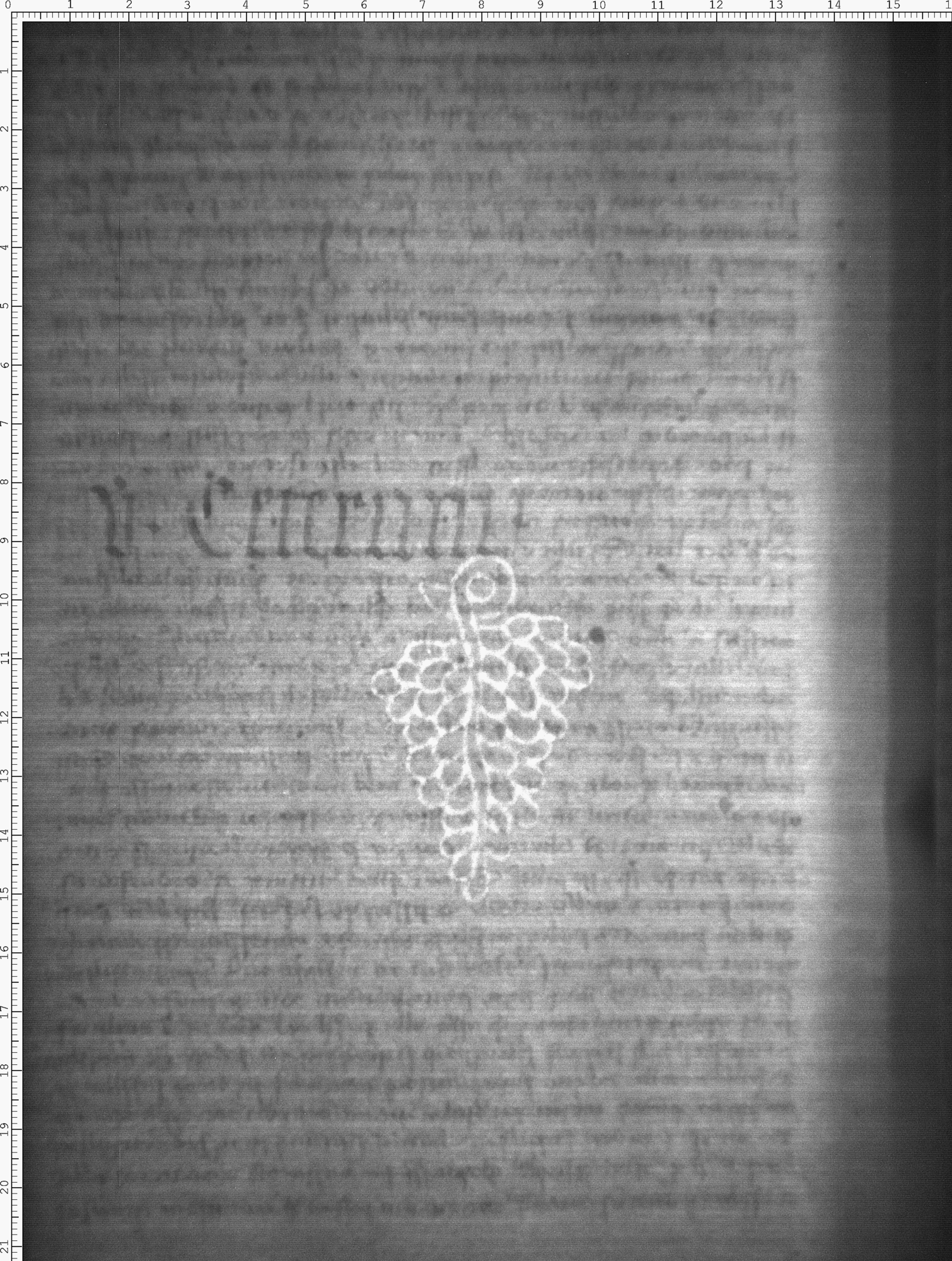 Watermark