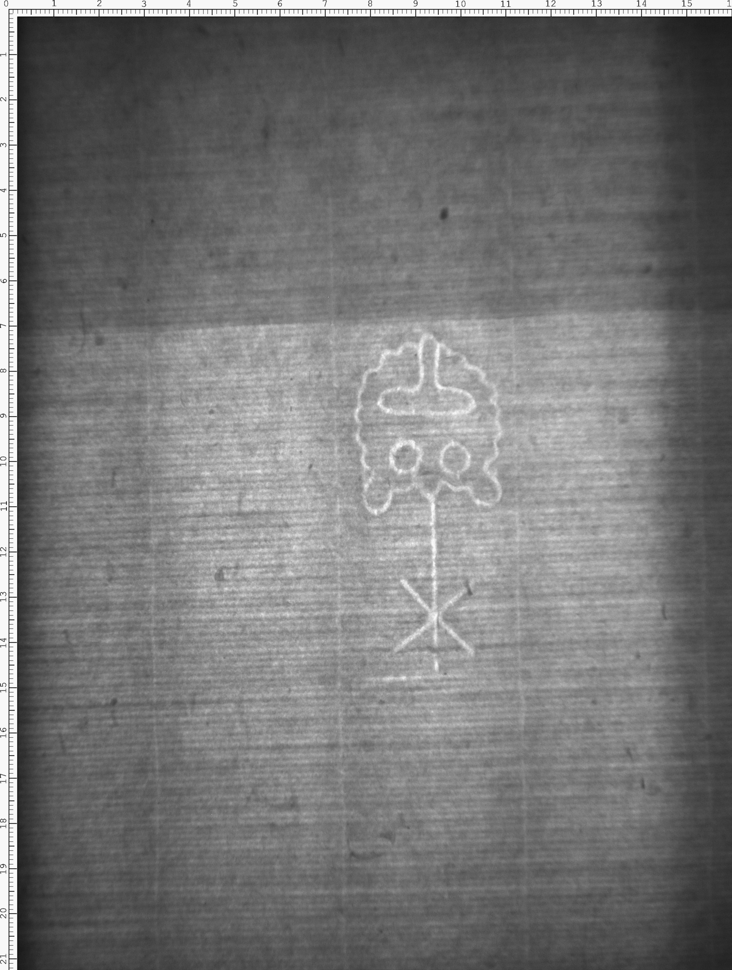 Watermark