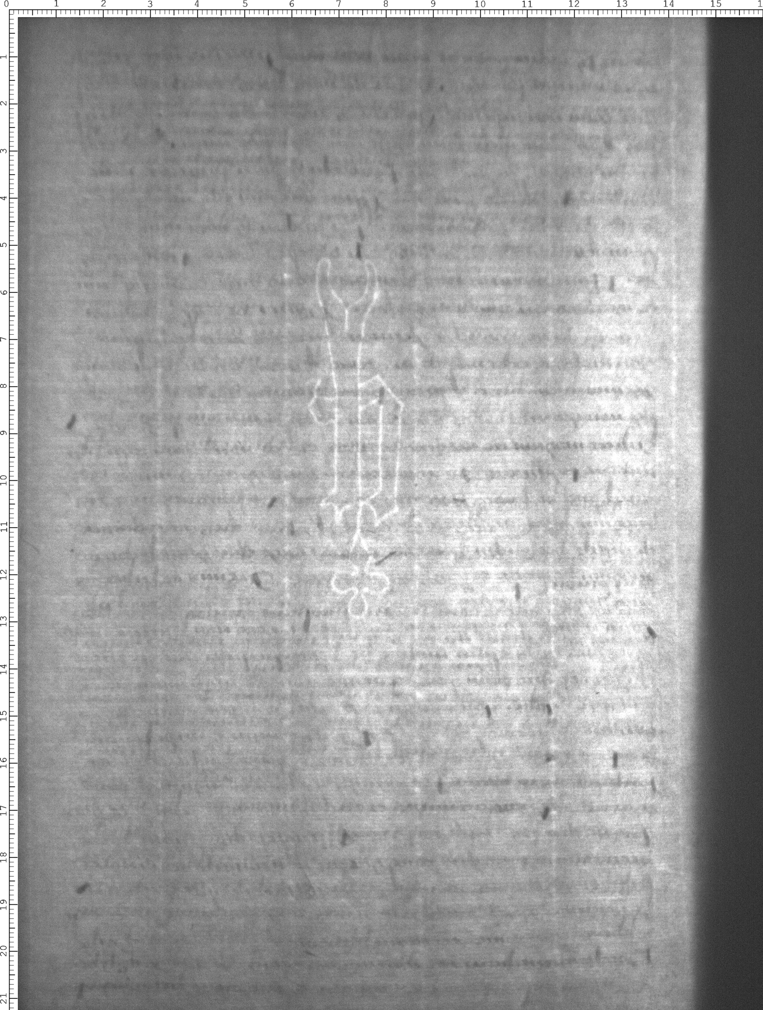 Watermark