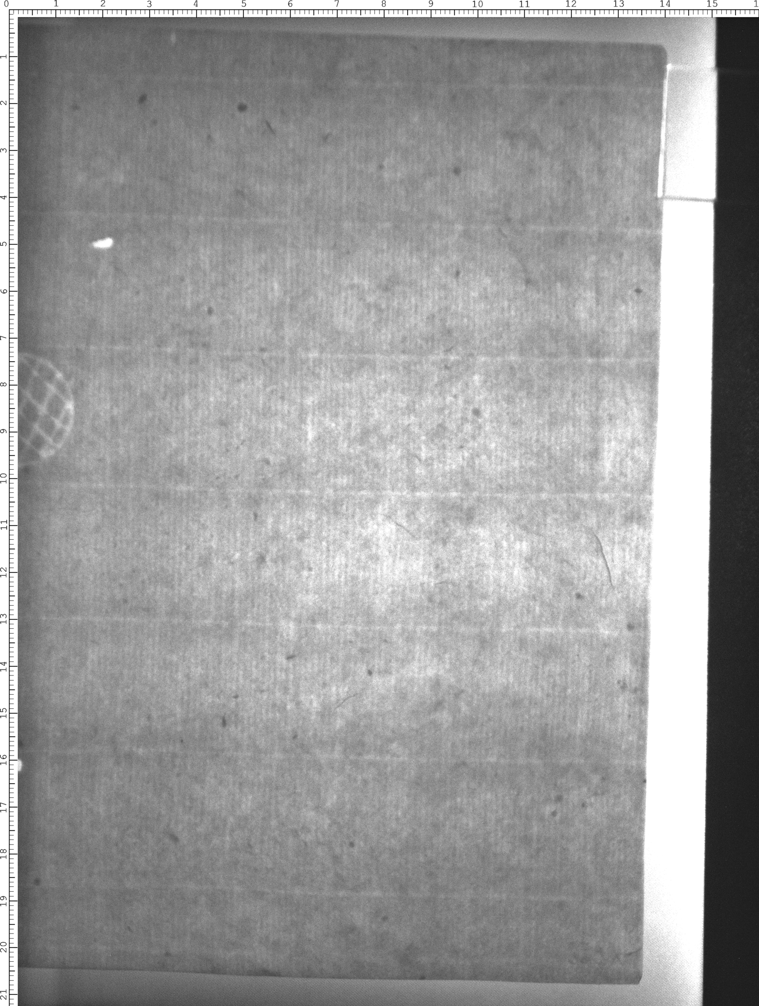 Watermark