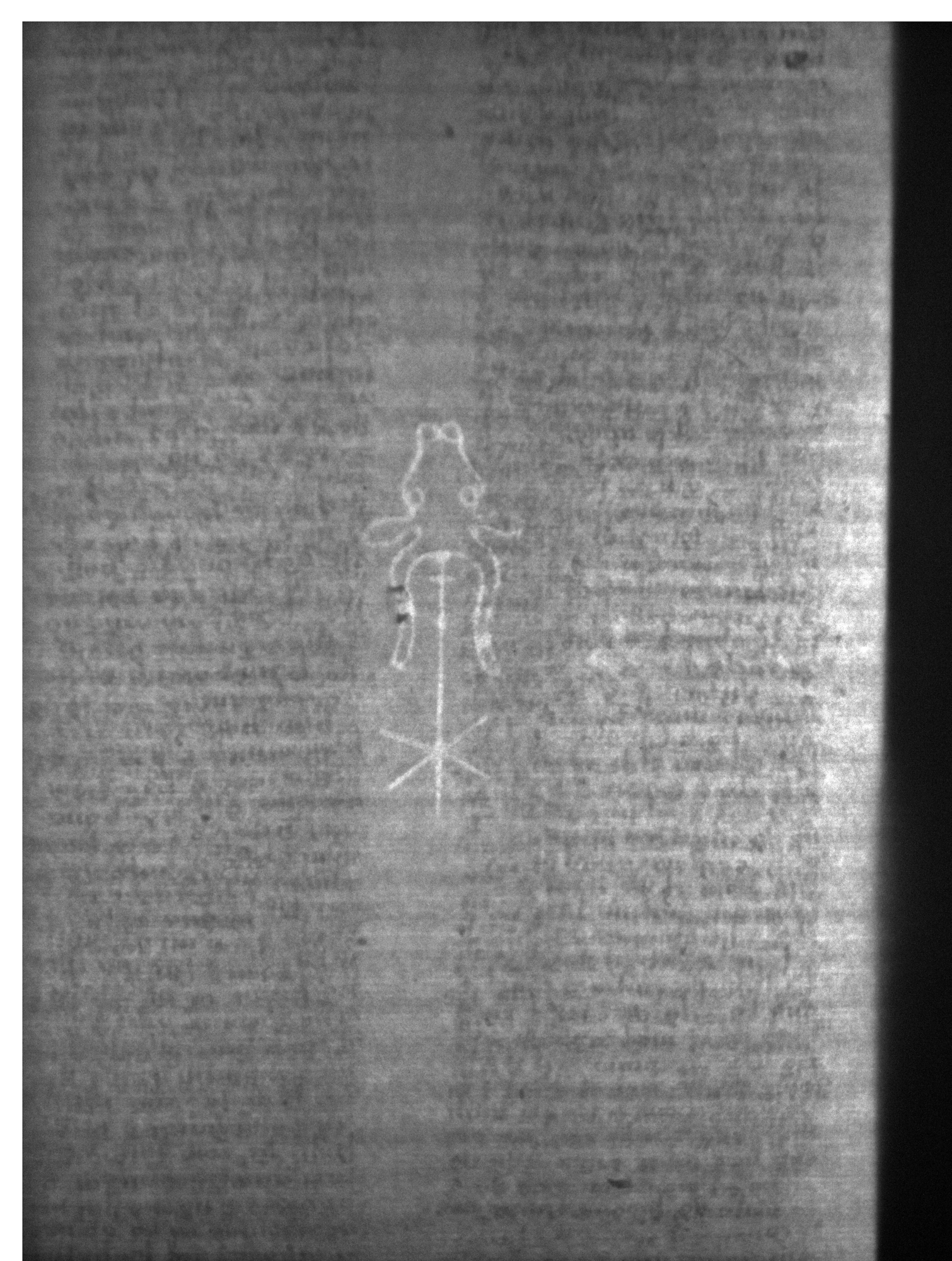 Watermark