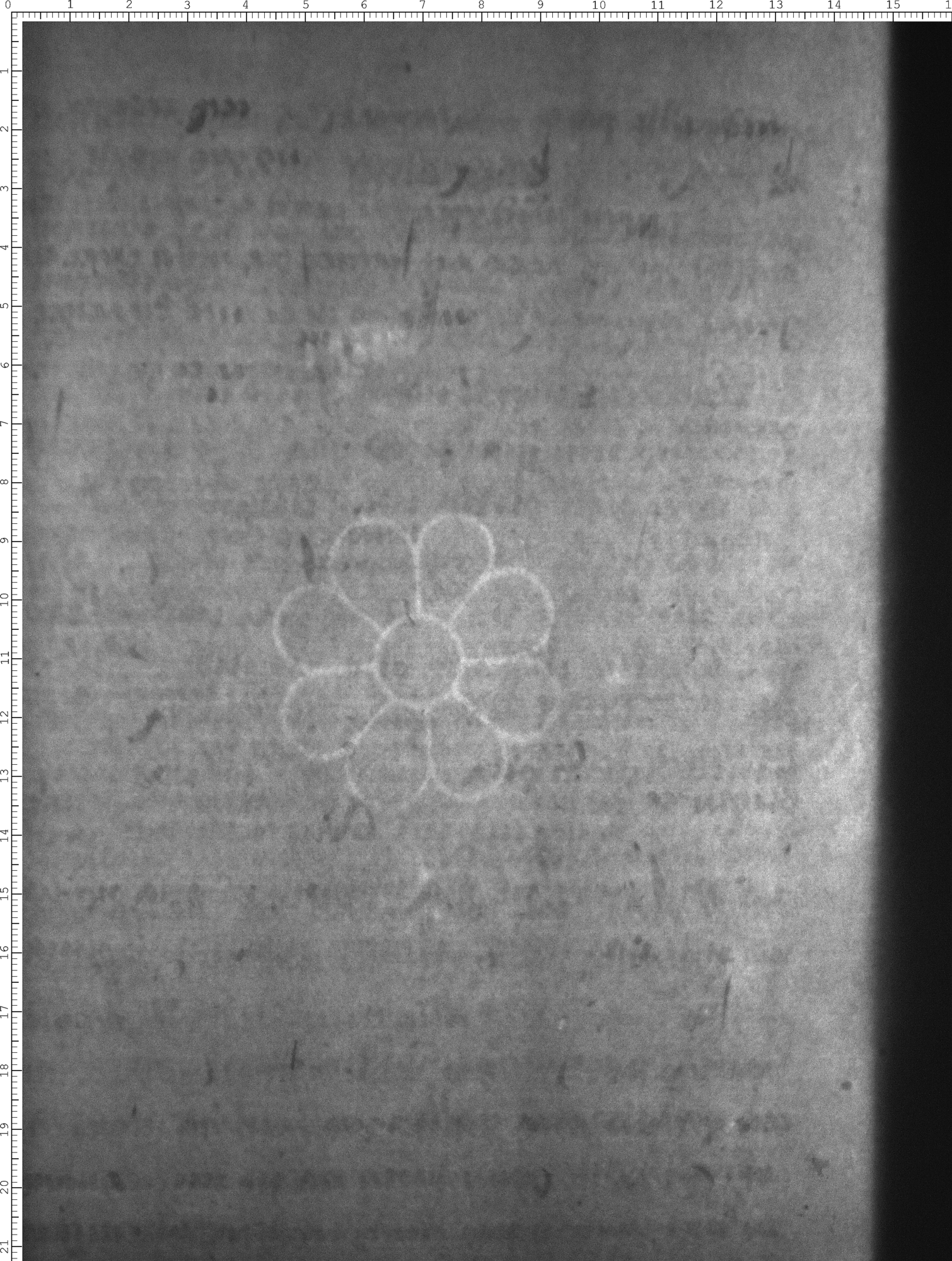 Watermark