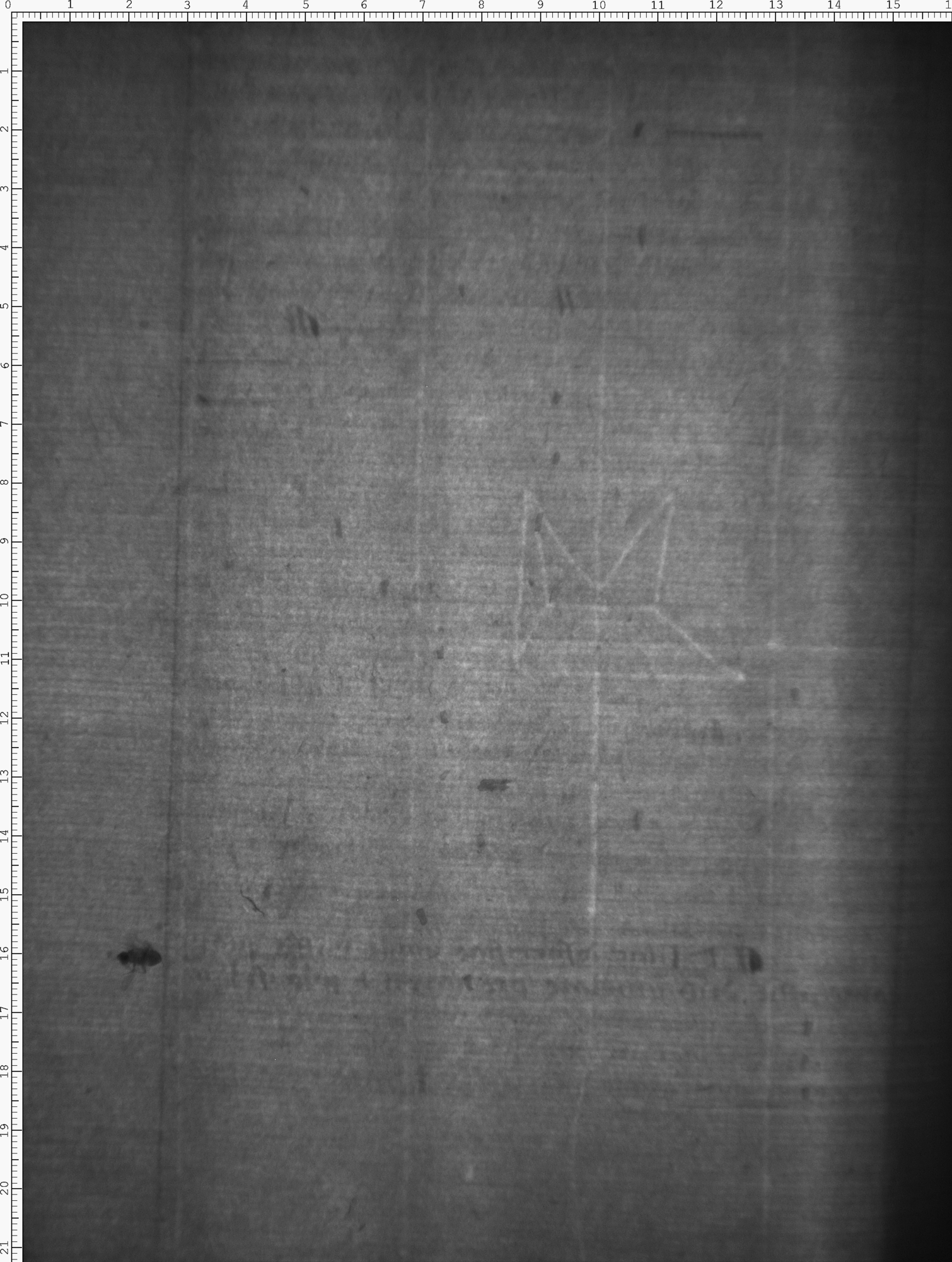 Watermark