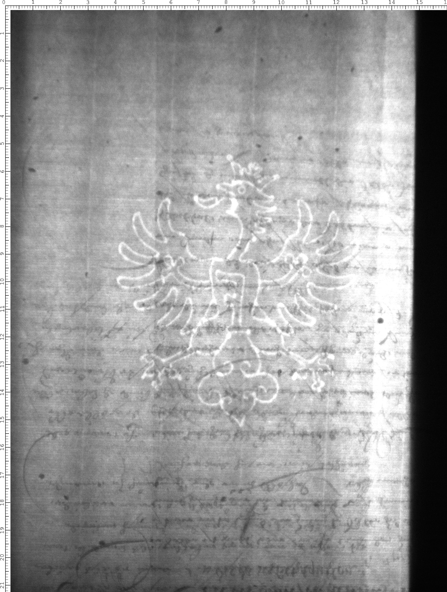 Watermark