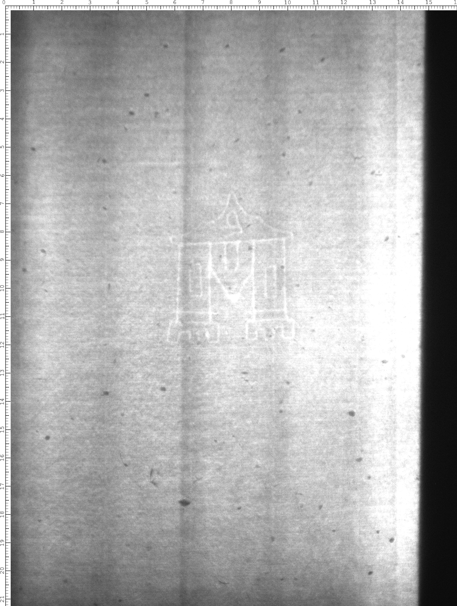 Watermark