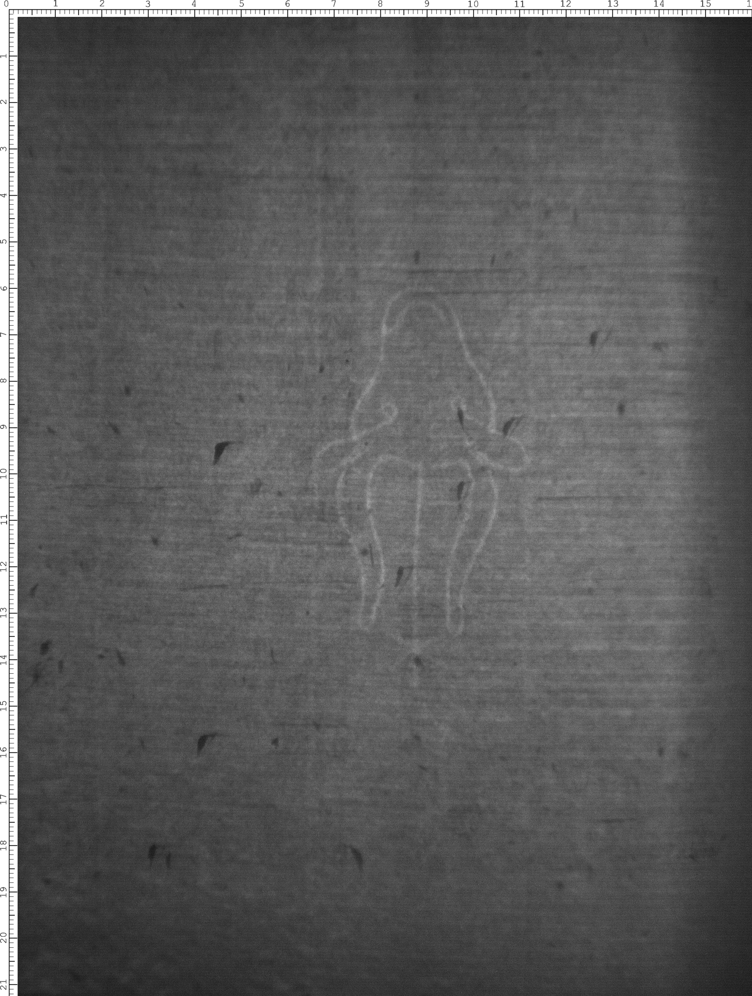 Watermark