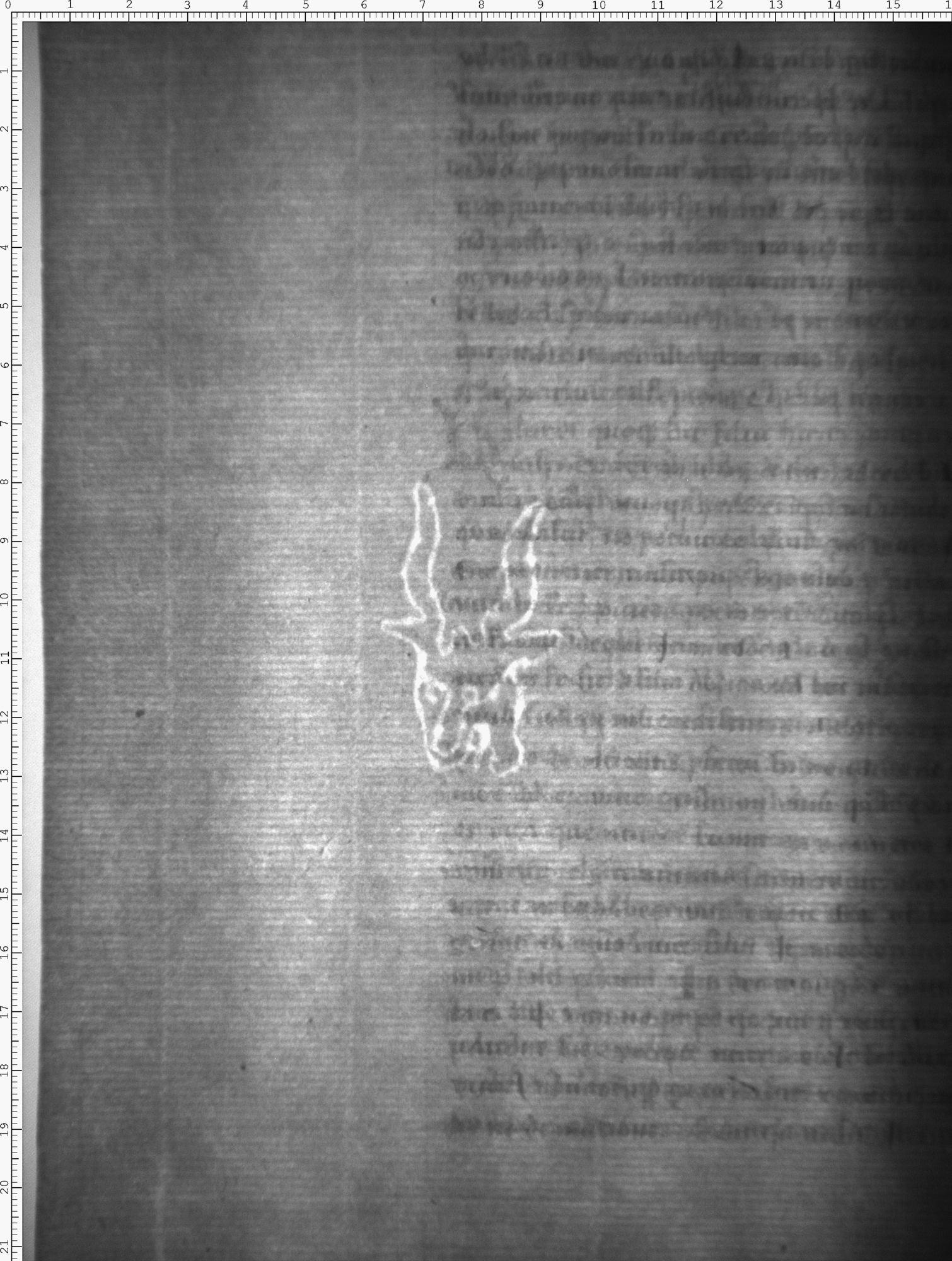 Watermark