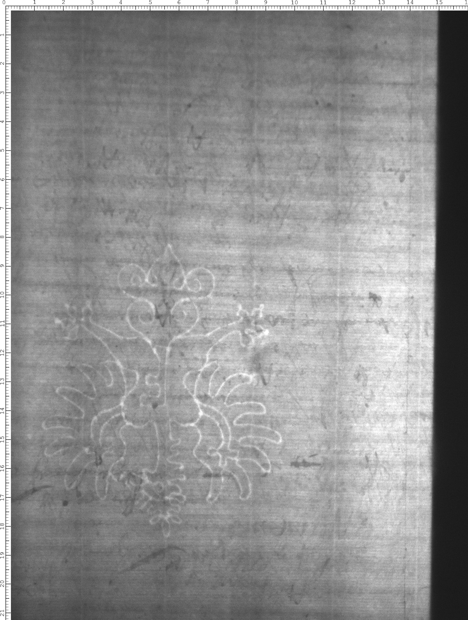 Watermark