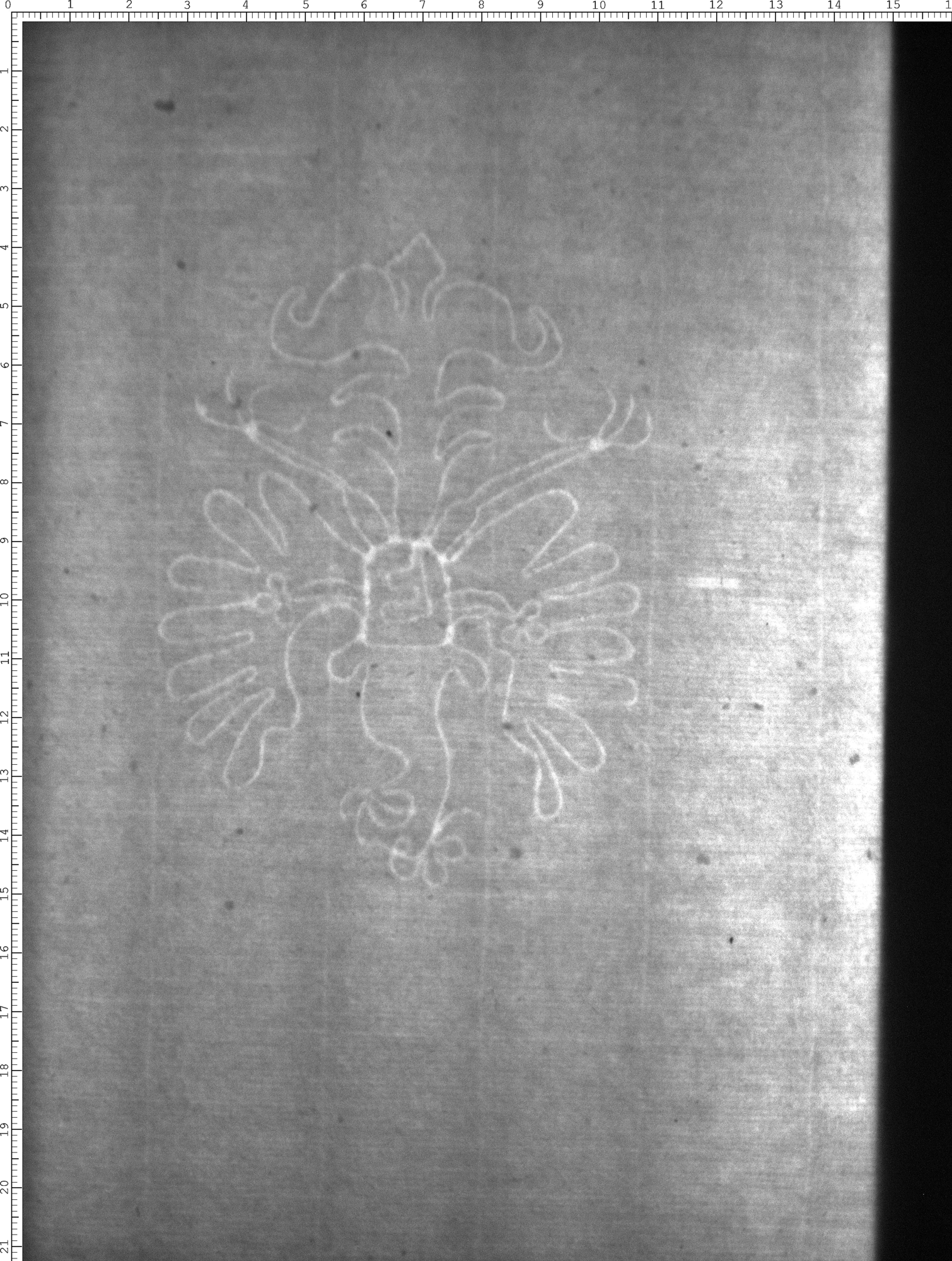 Watermark