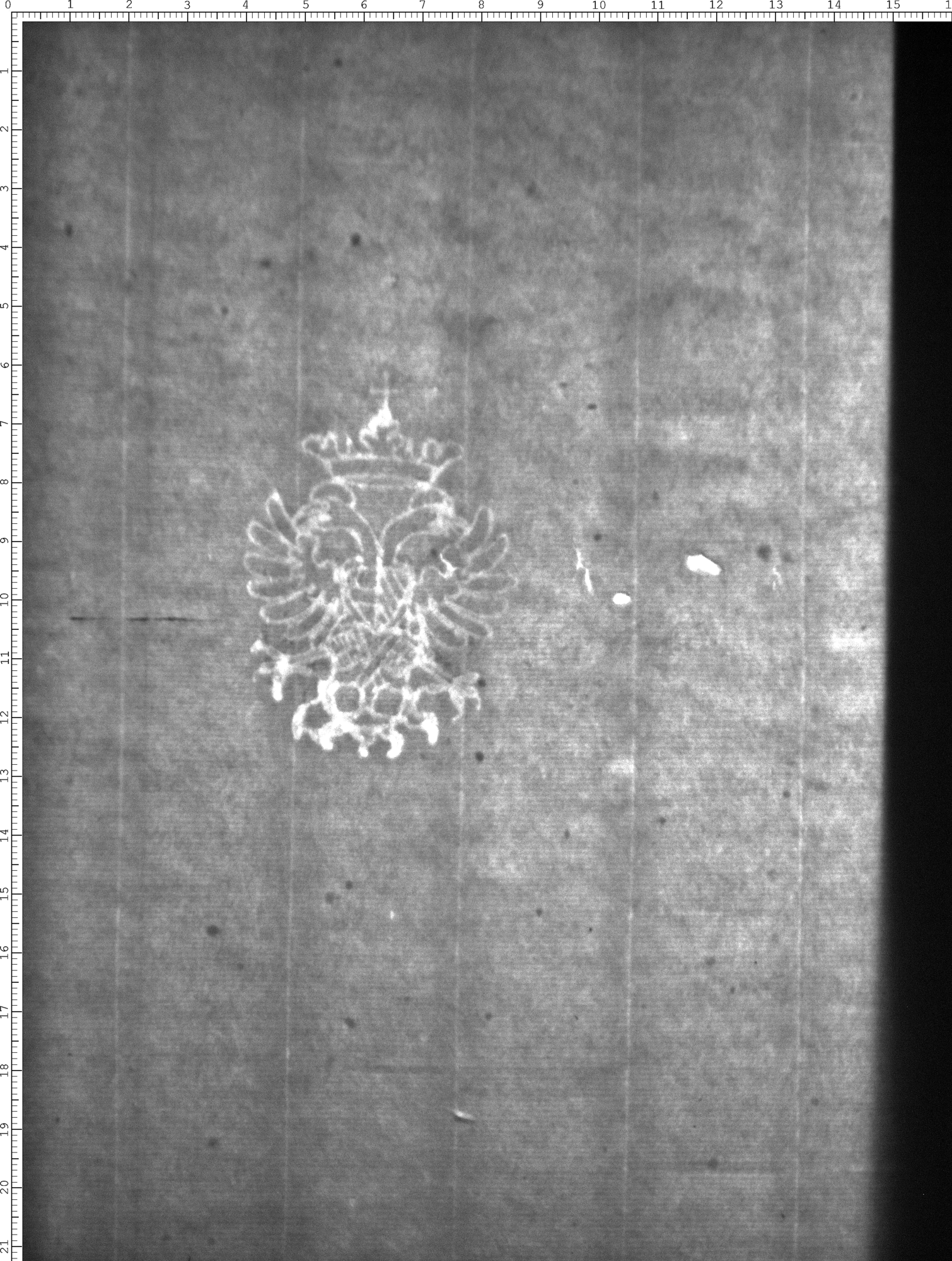 Watermark