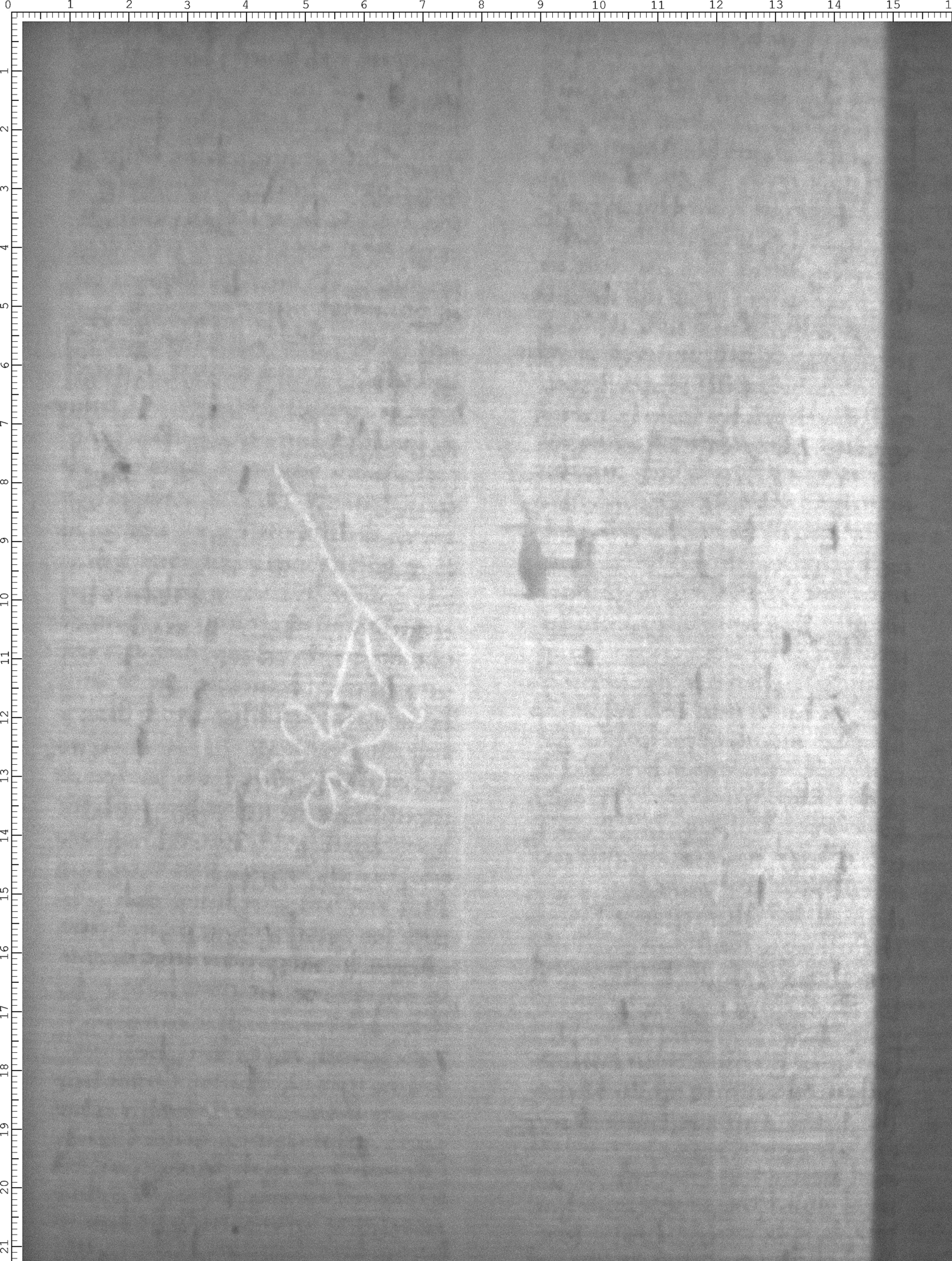 Watermark