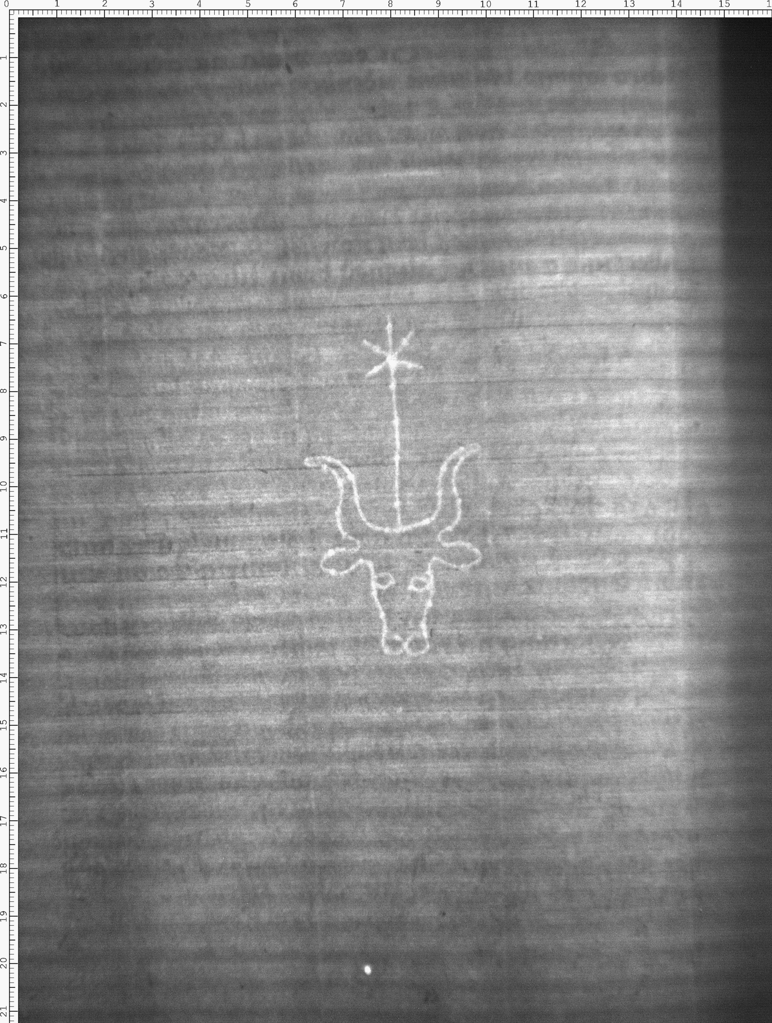 Watermark