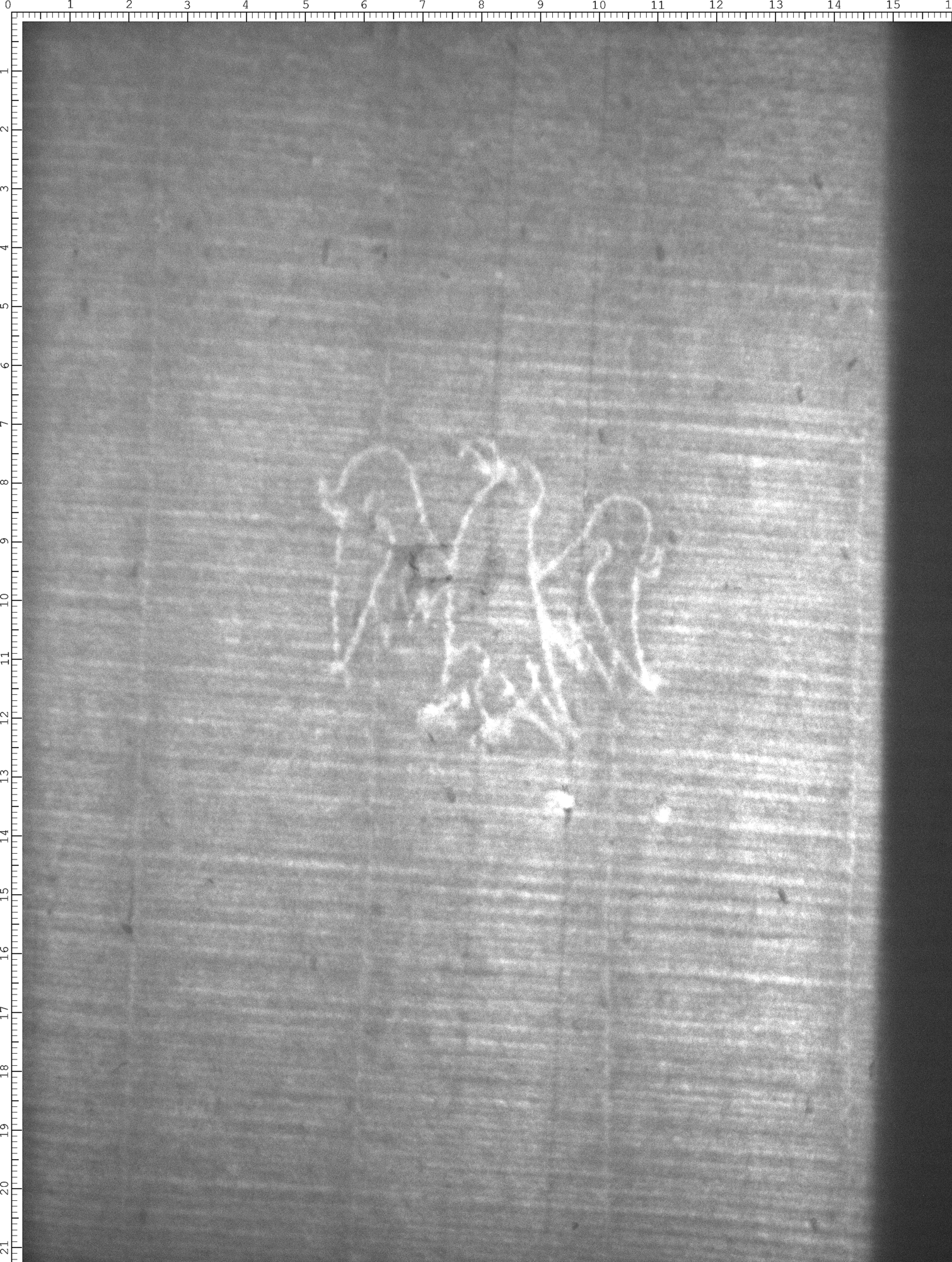 Watermark