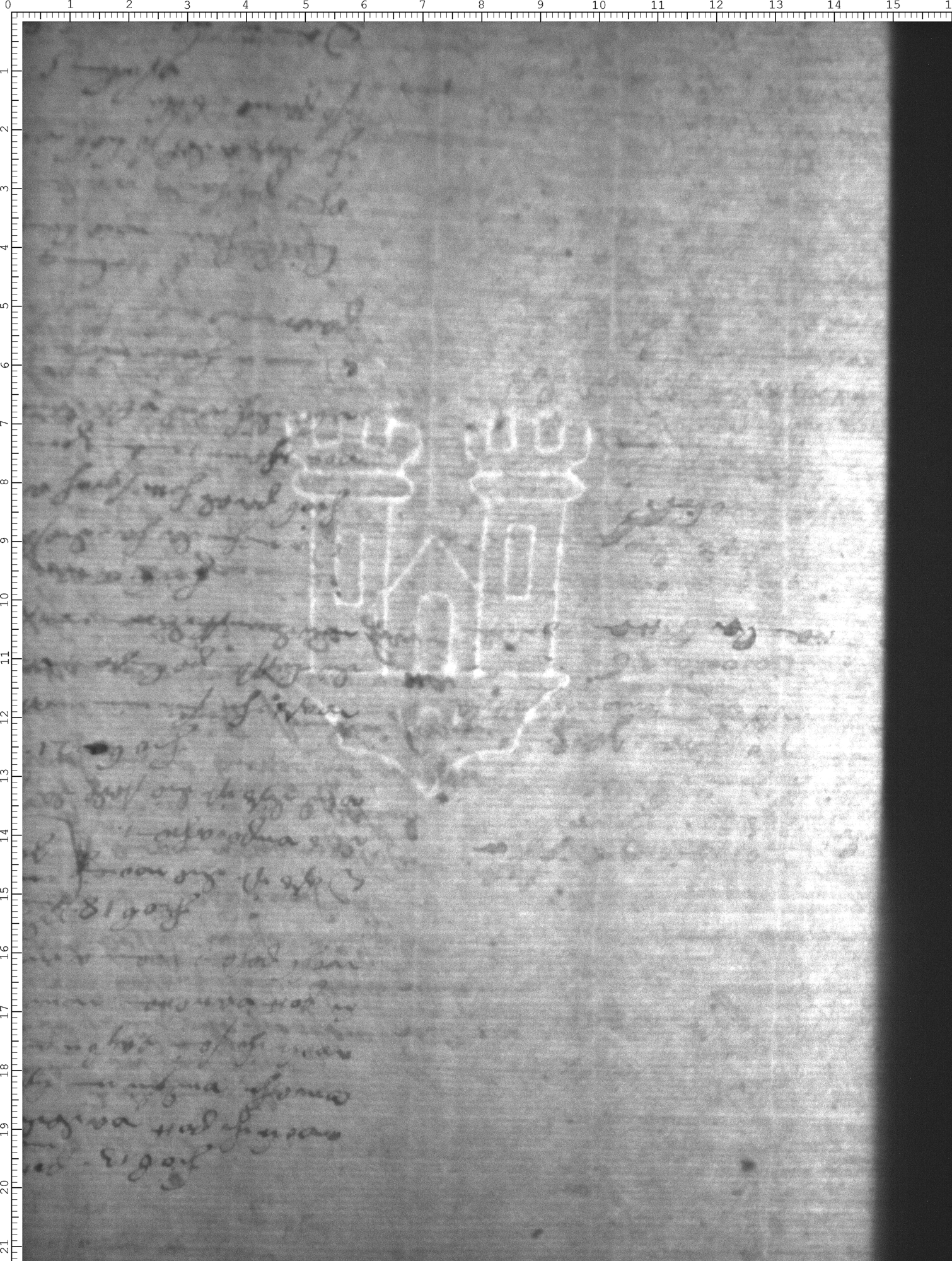 Watermark
