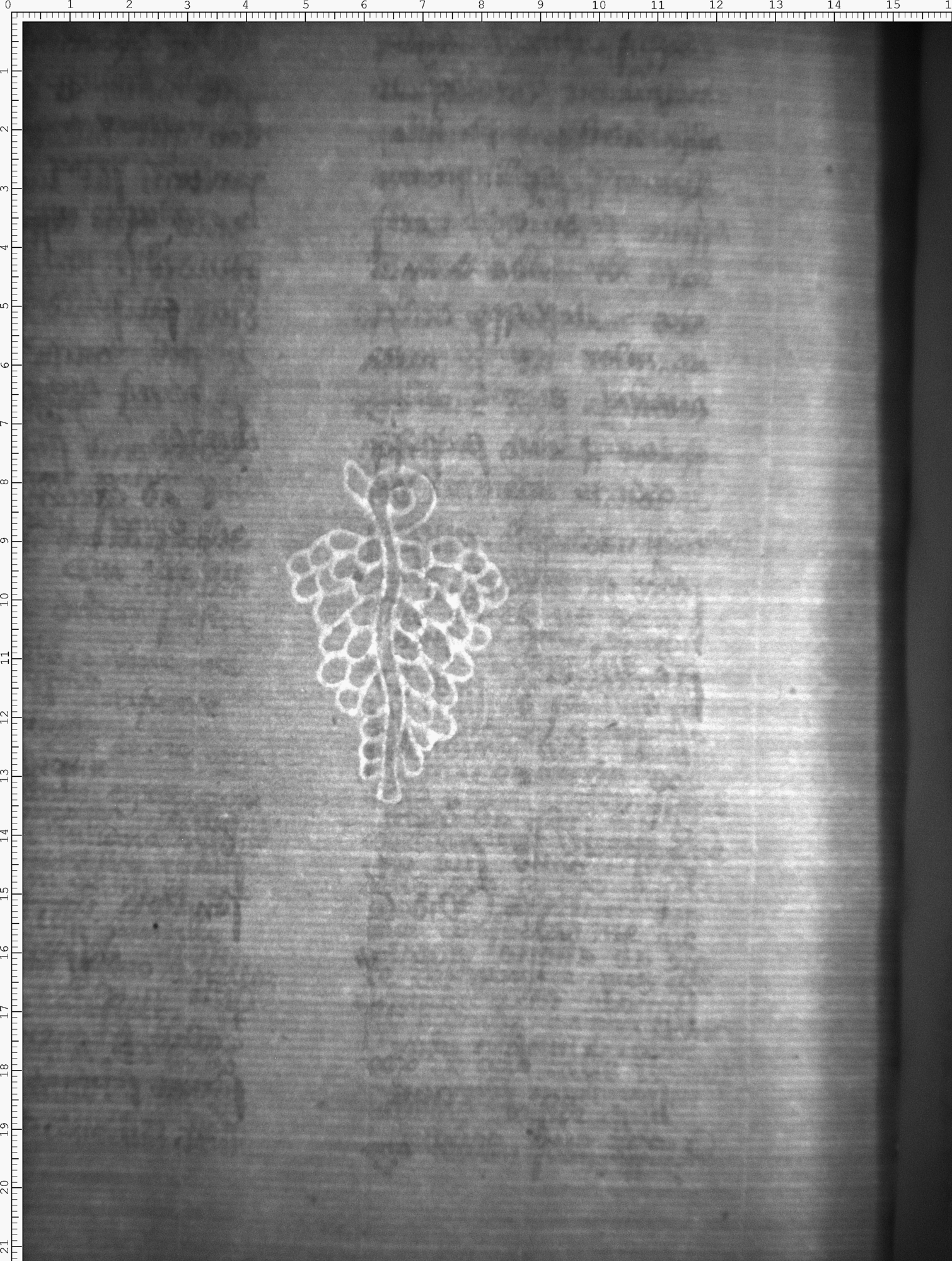 Watermark
