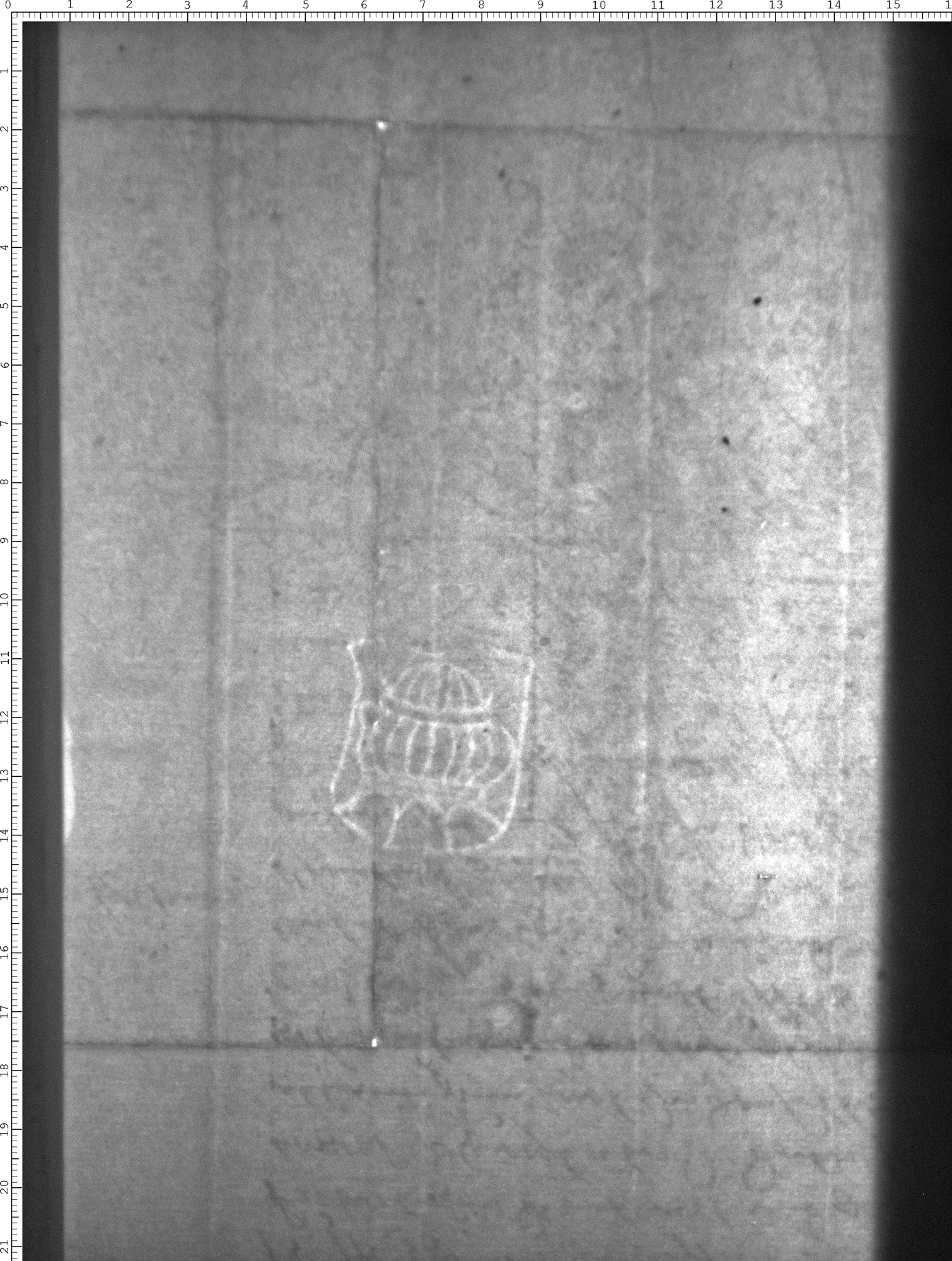 Watermark