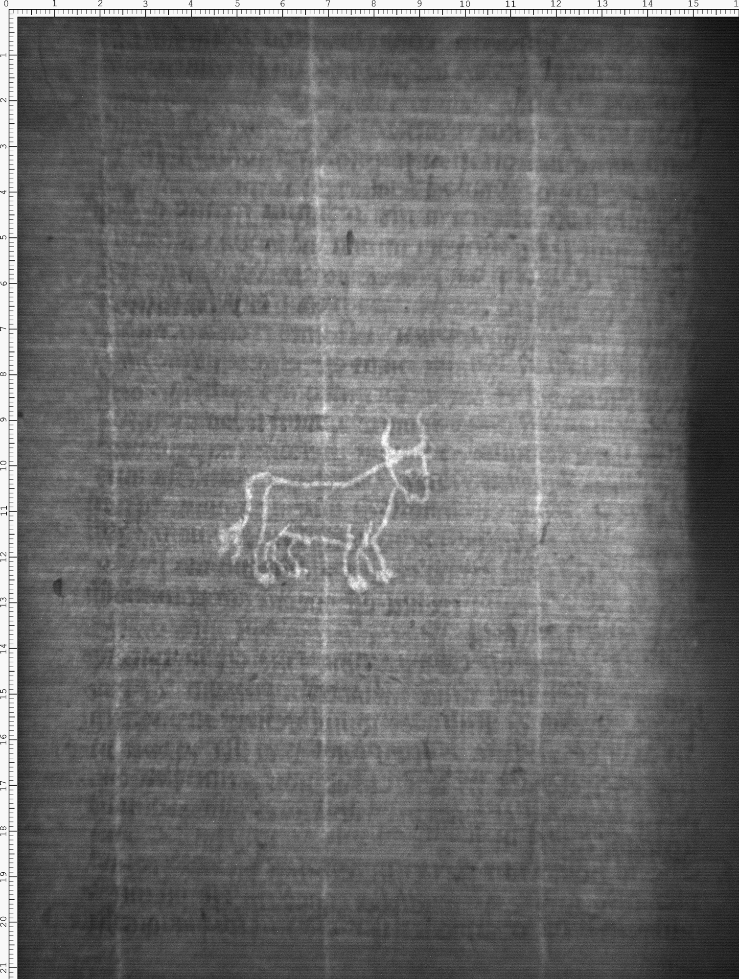 Watermark