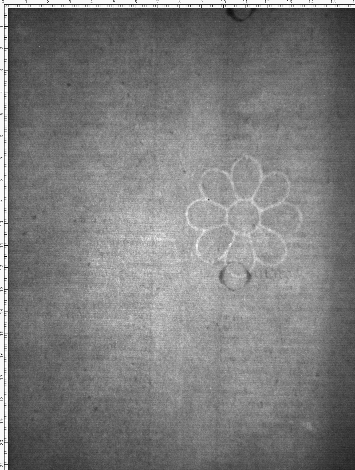 Watermark