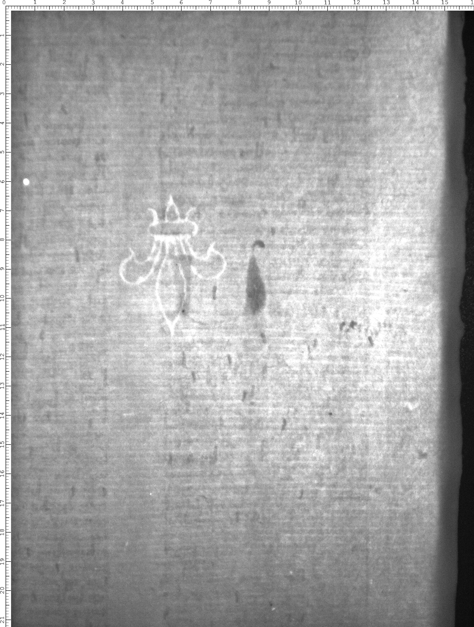 Watermark