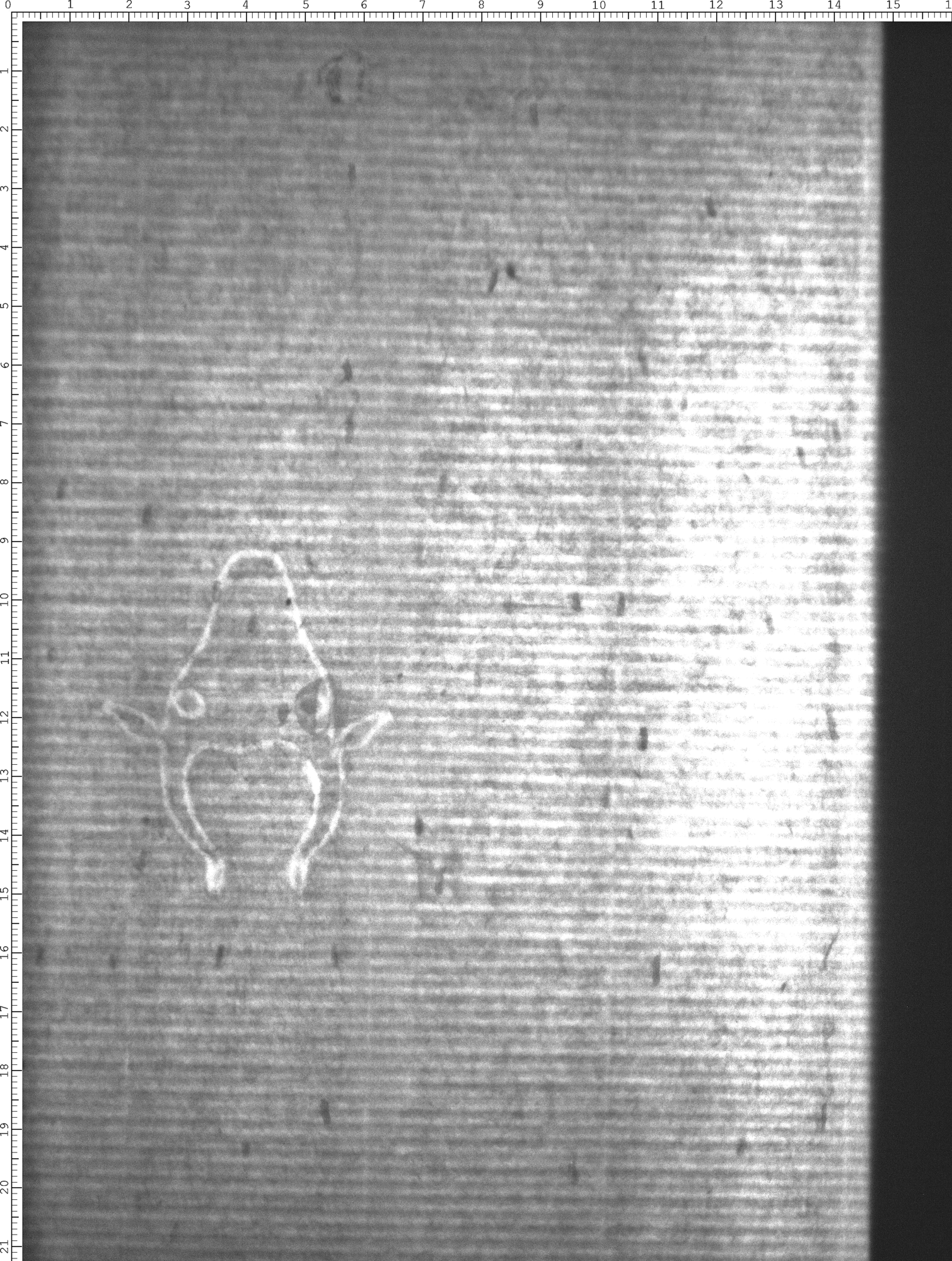 Watermark