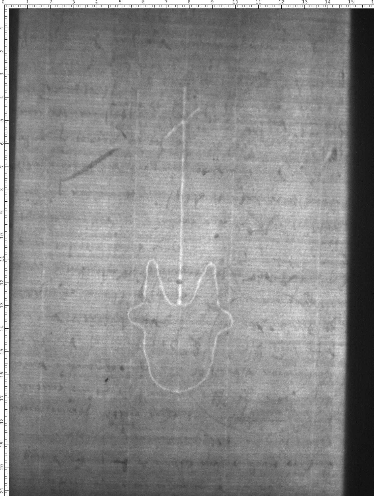 Watermark