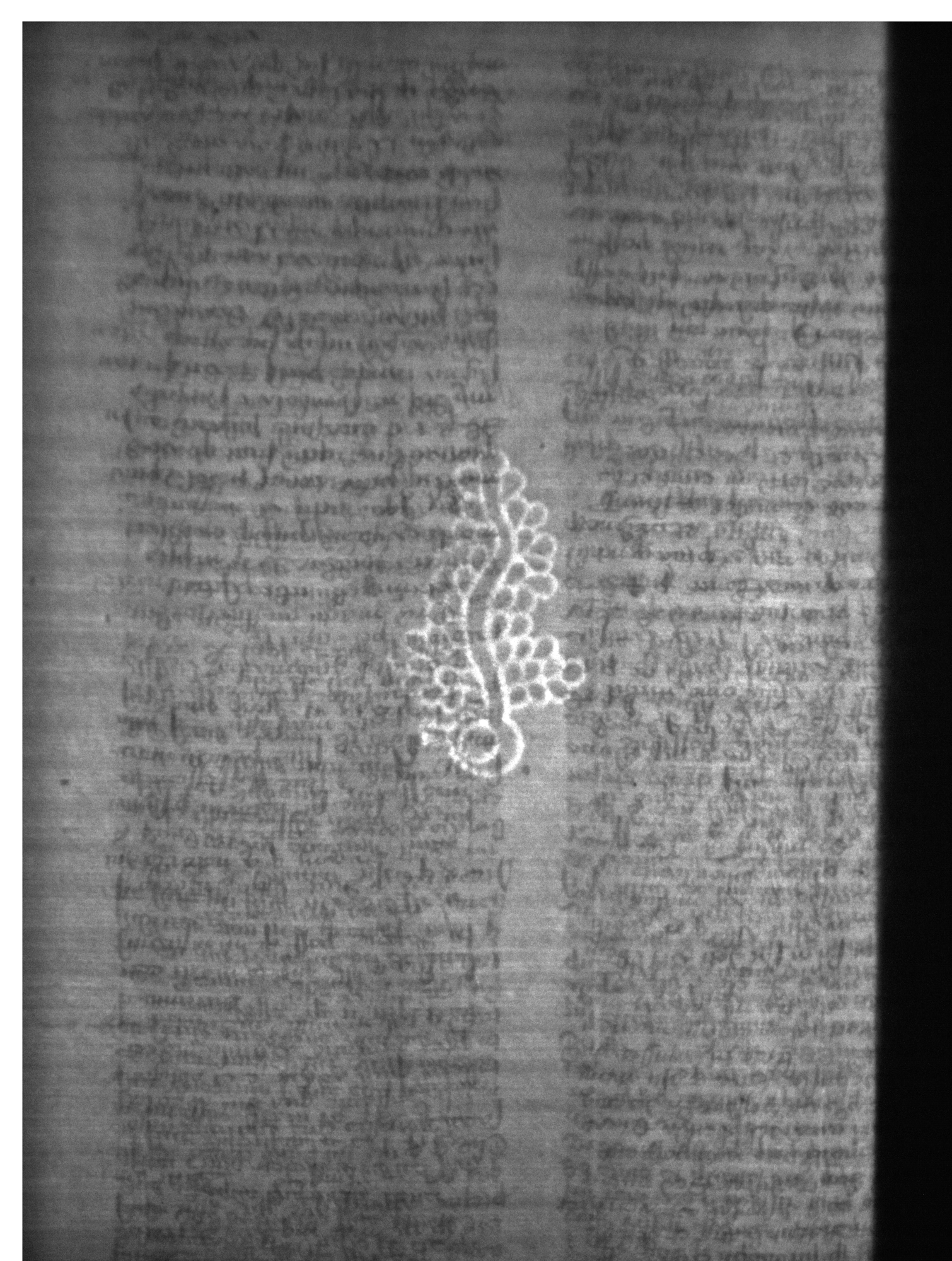Watermark