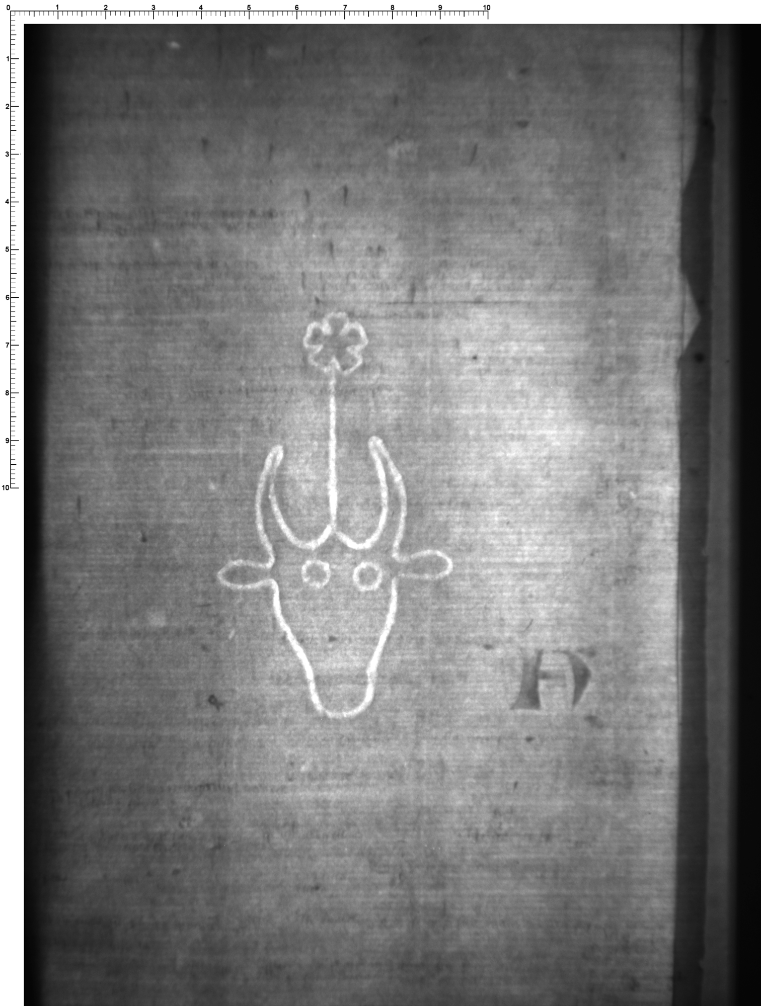 Watermark